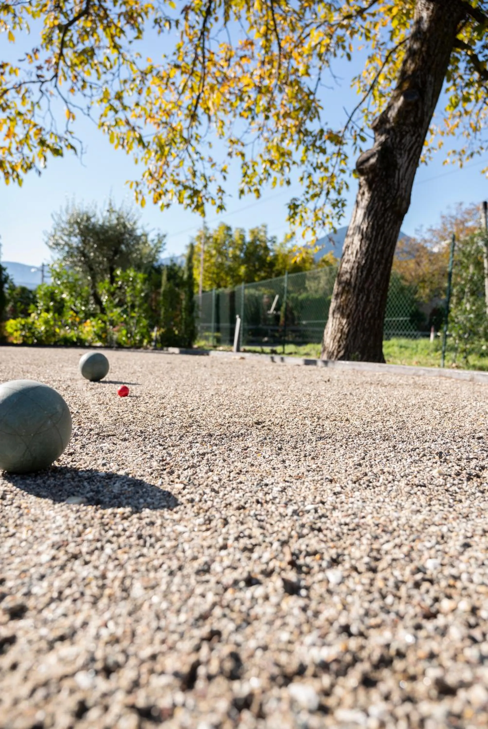 Garden in Apartments ANNY