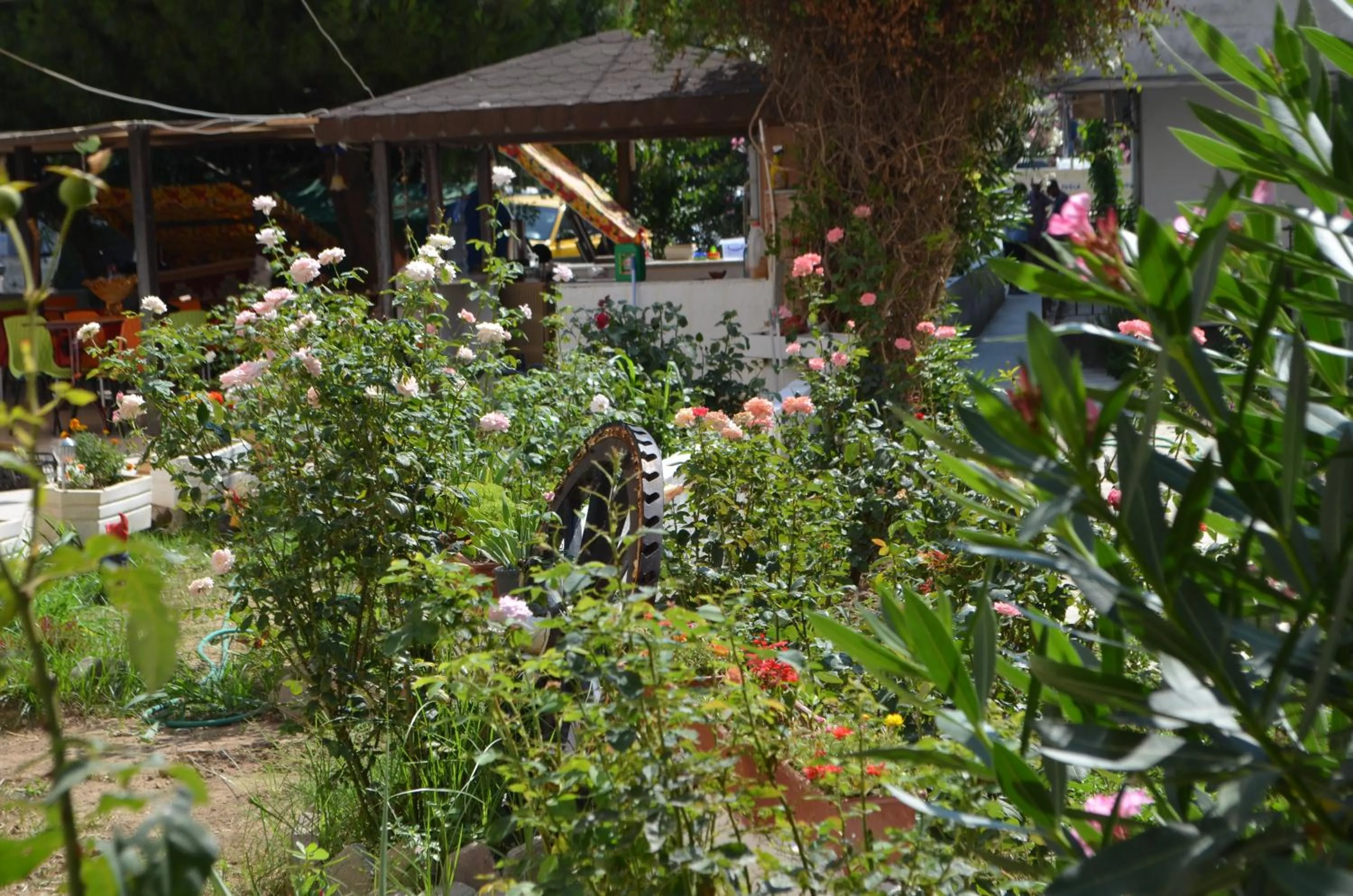 Garden in Ahmeda Apart Hotel