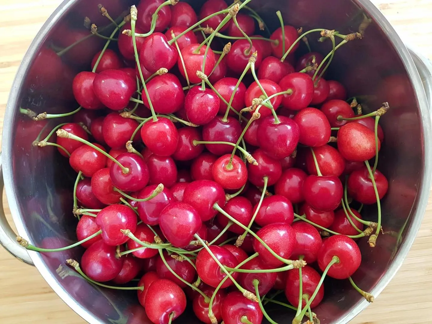 Garden in The Orchard at Oliver