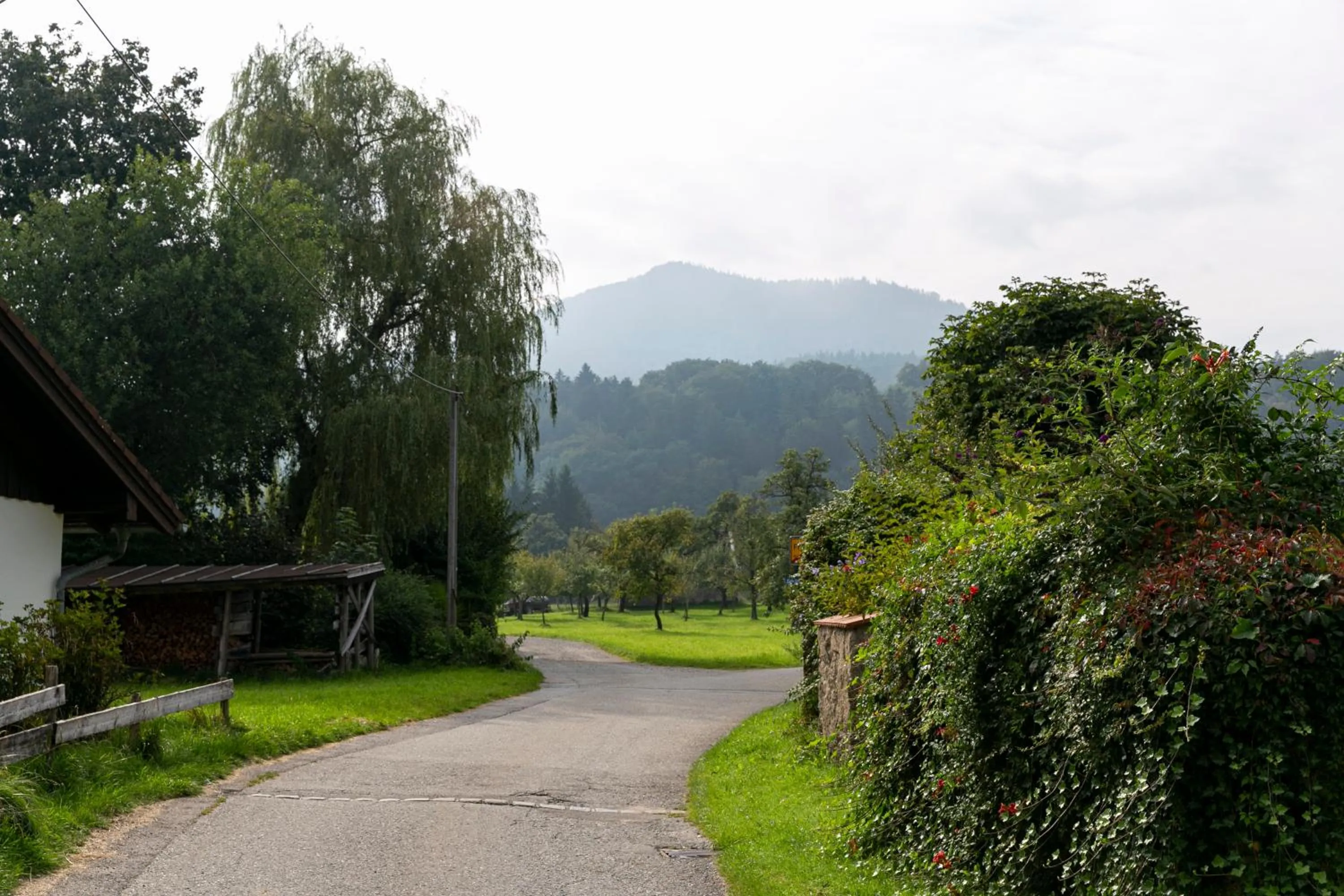 Area and facilities in Landgasthof Karner