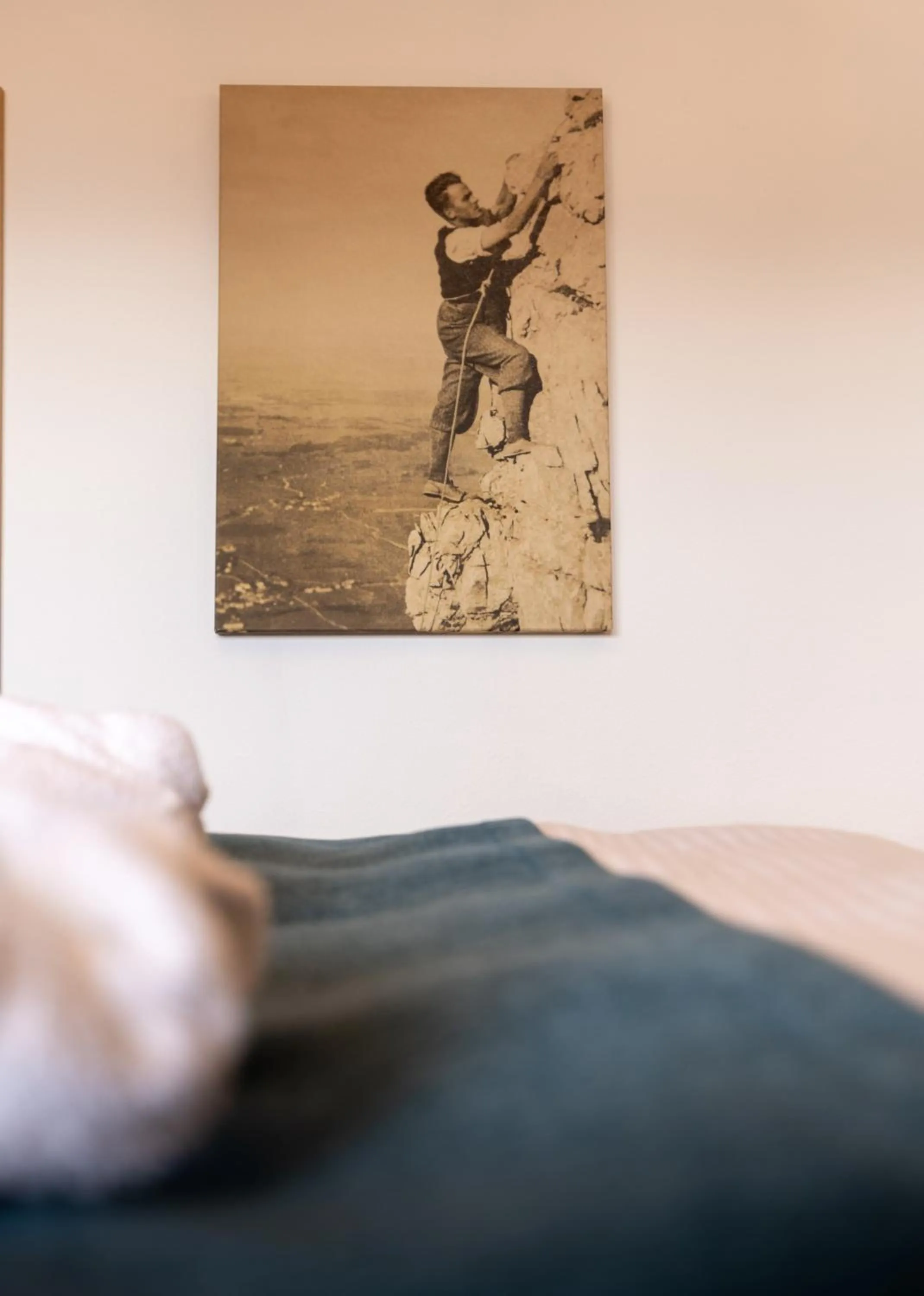 Photo of the whole room, Bed in Hotel Bergruh