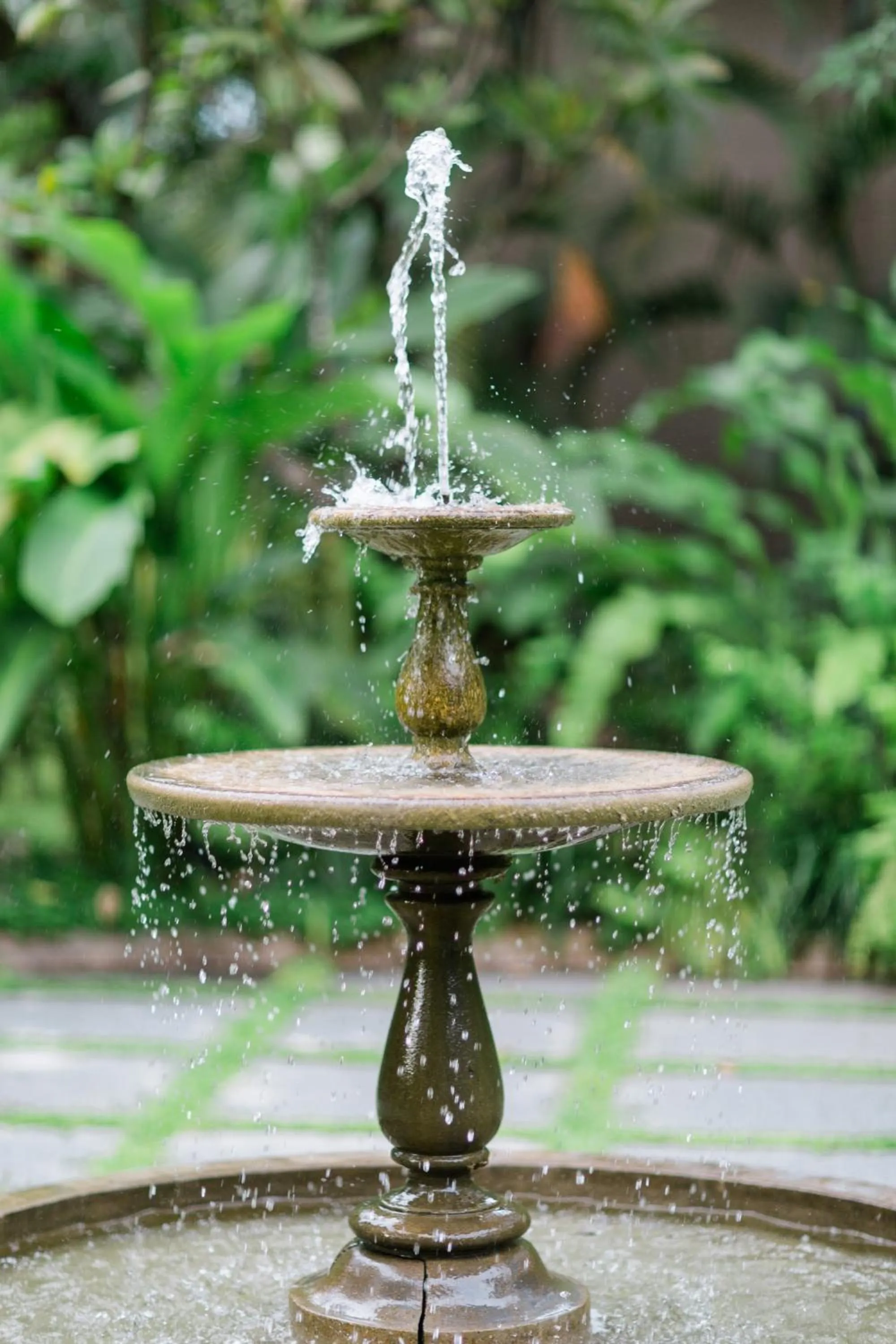 Garden in The Henry Resort Dumaguete