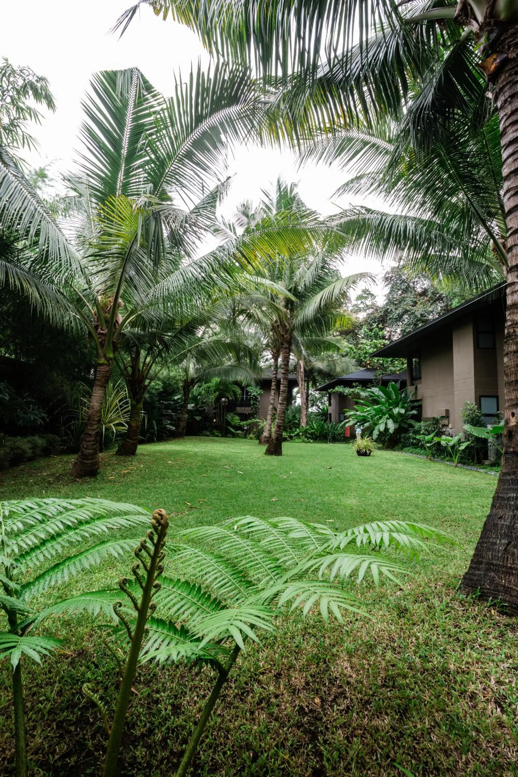 Garden in The Henry Resort Dumaguete