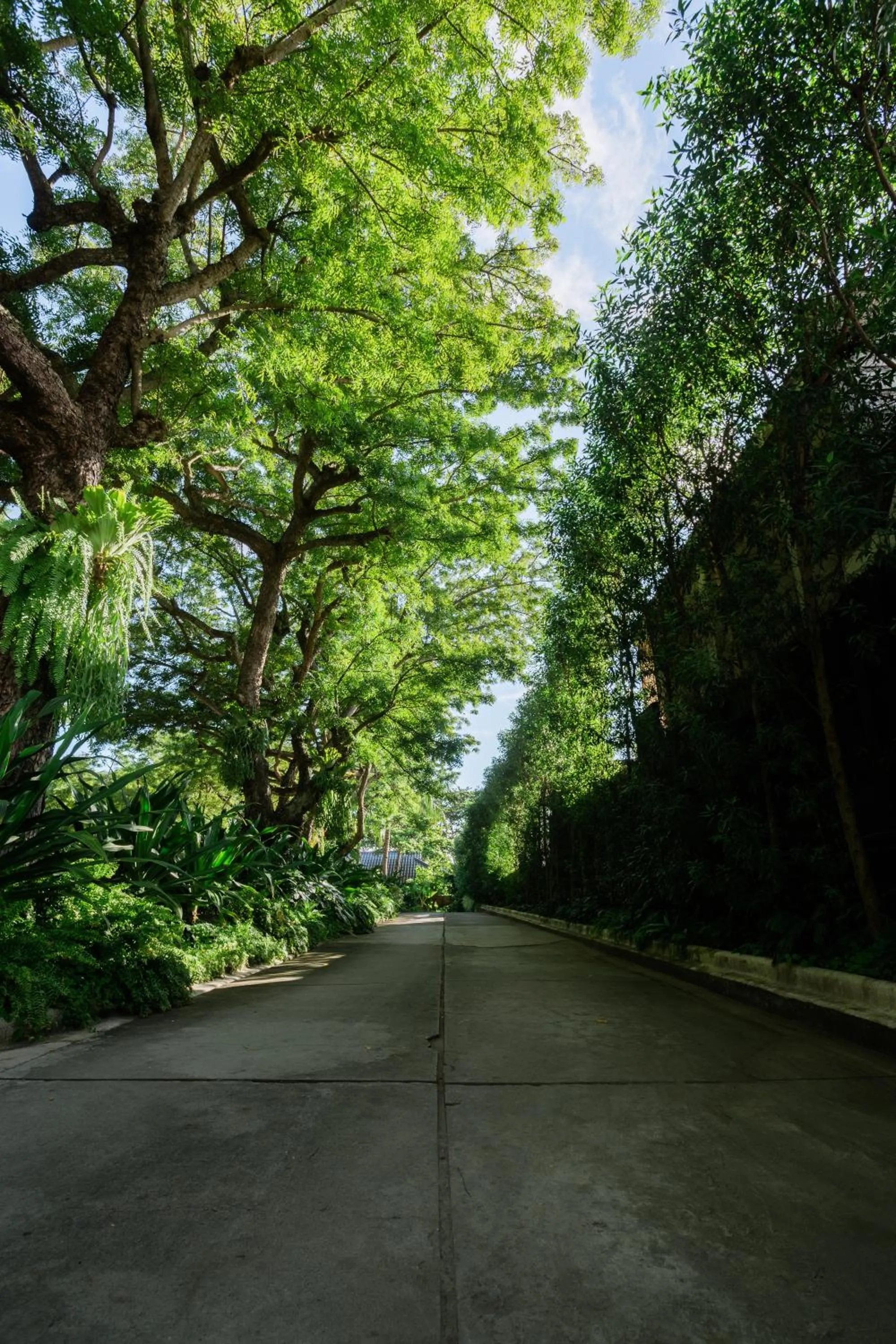 Facade/entrance in The Henry Resort Dumaguete