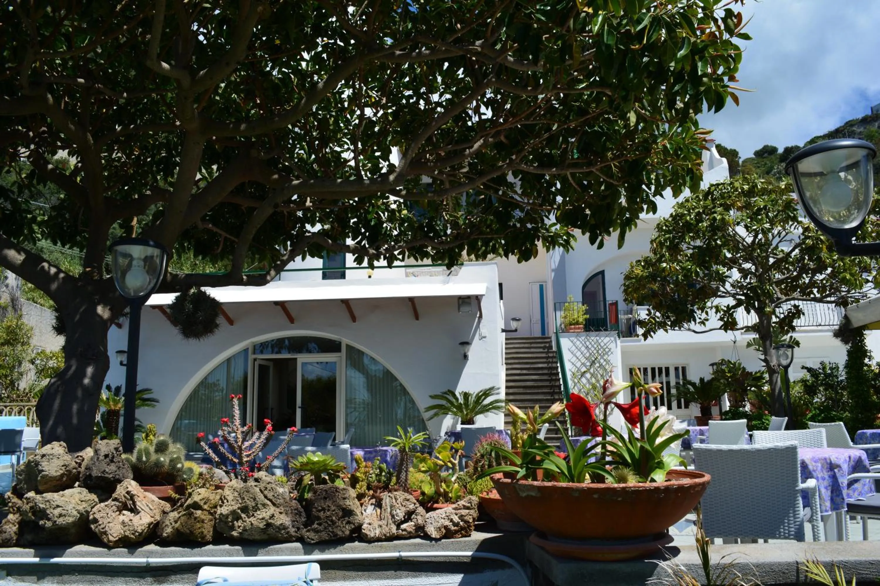 Garden in Hotel Maronti