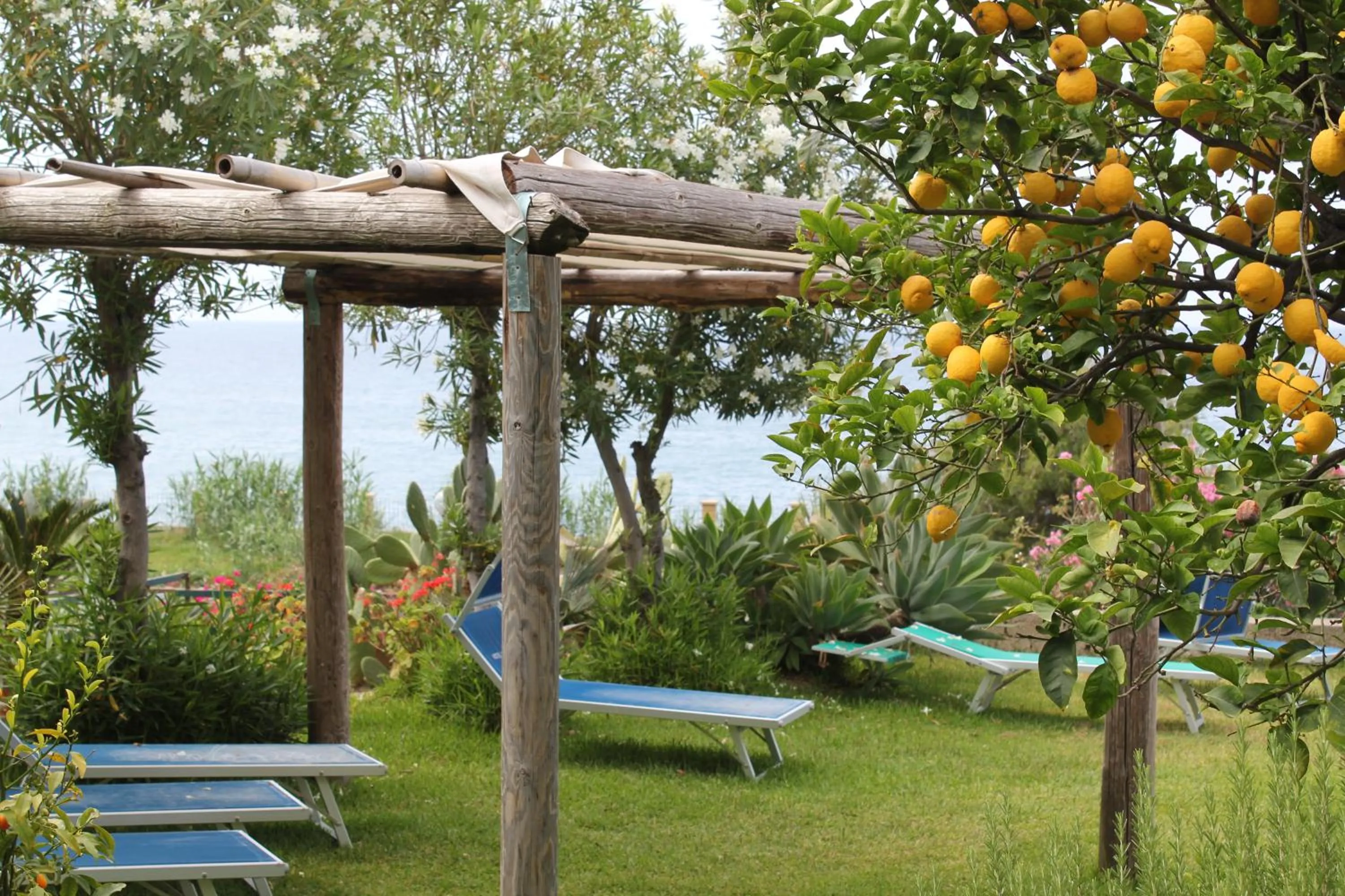 Garden in Hotel Maronti