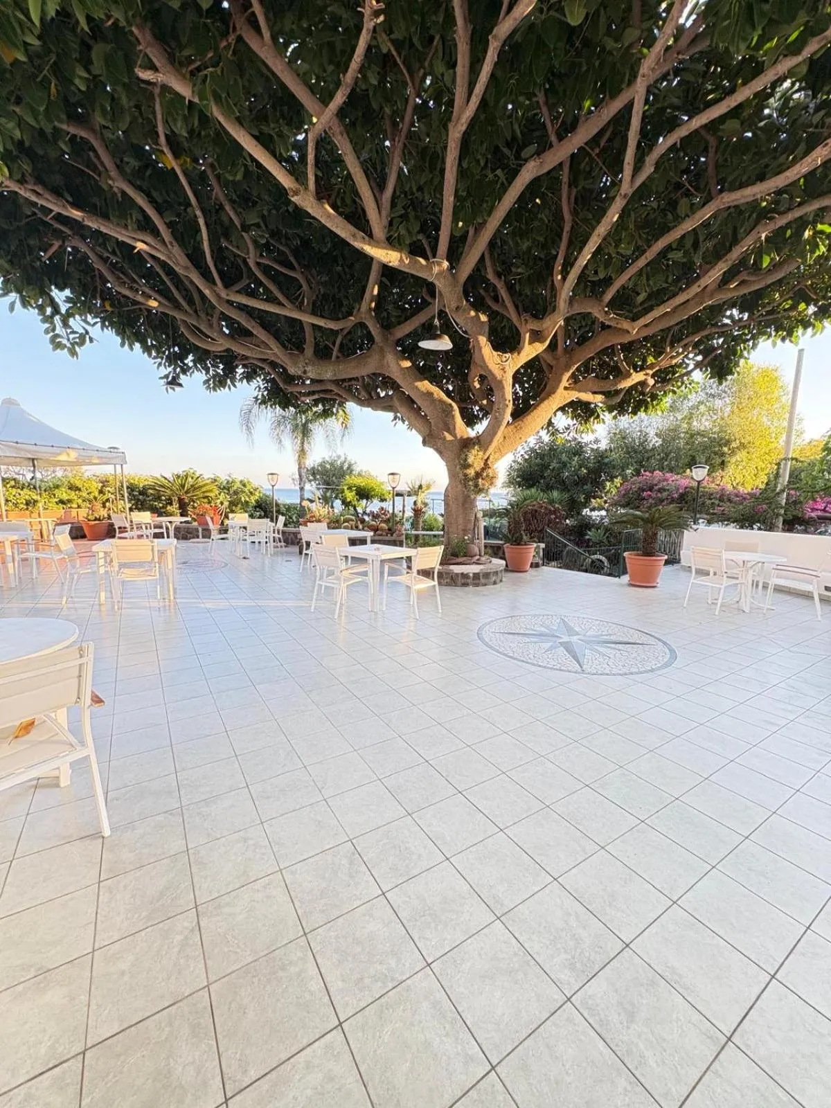 Balcony/Terrace in Hotel Maronti