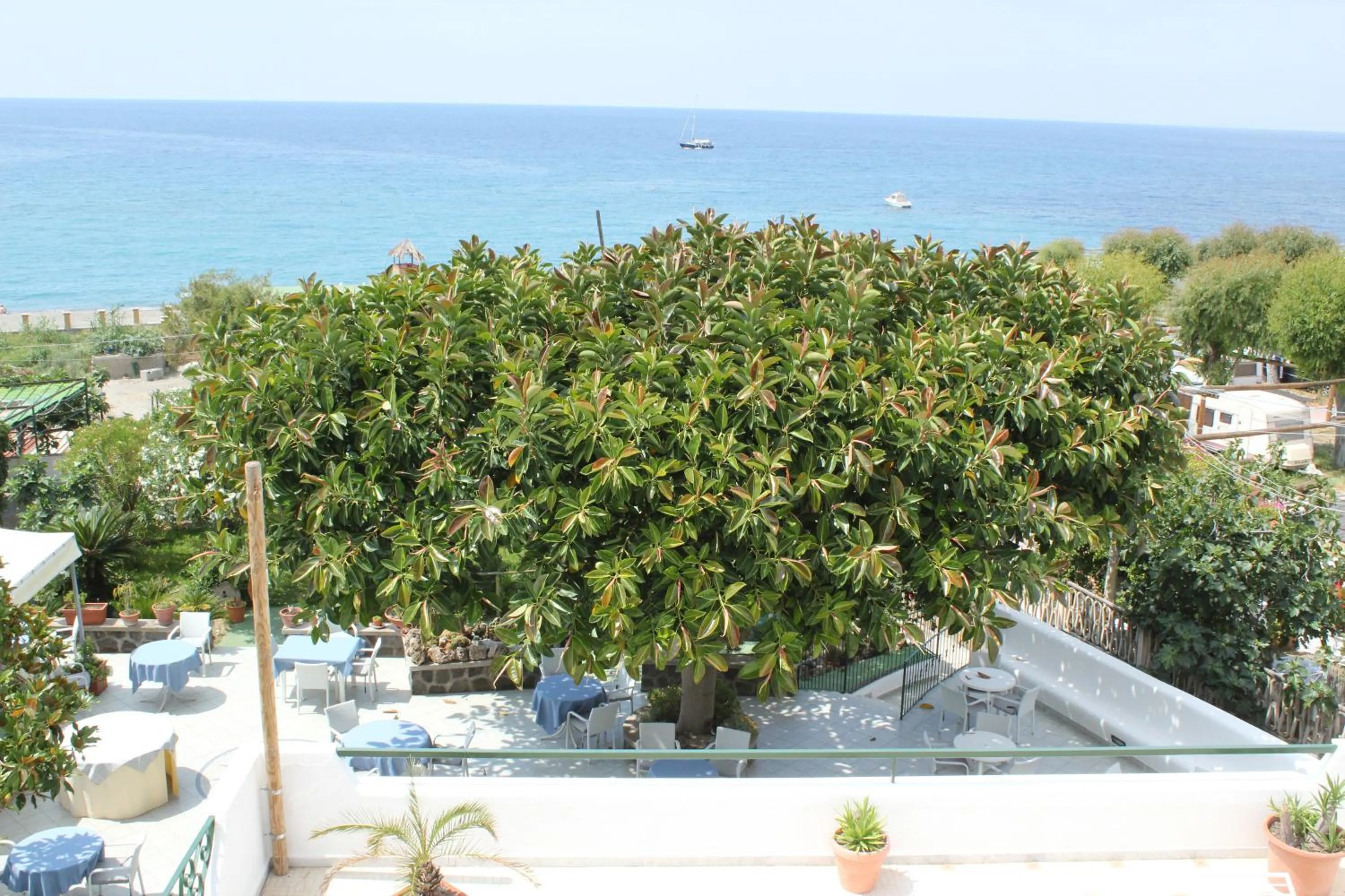 Facade/entrance in Hotel Maronti