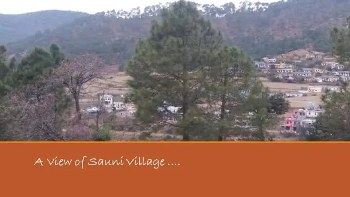 City view in Sparrow Nest