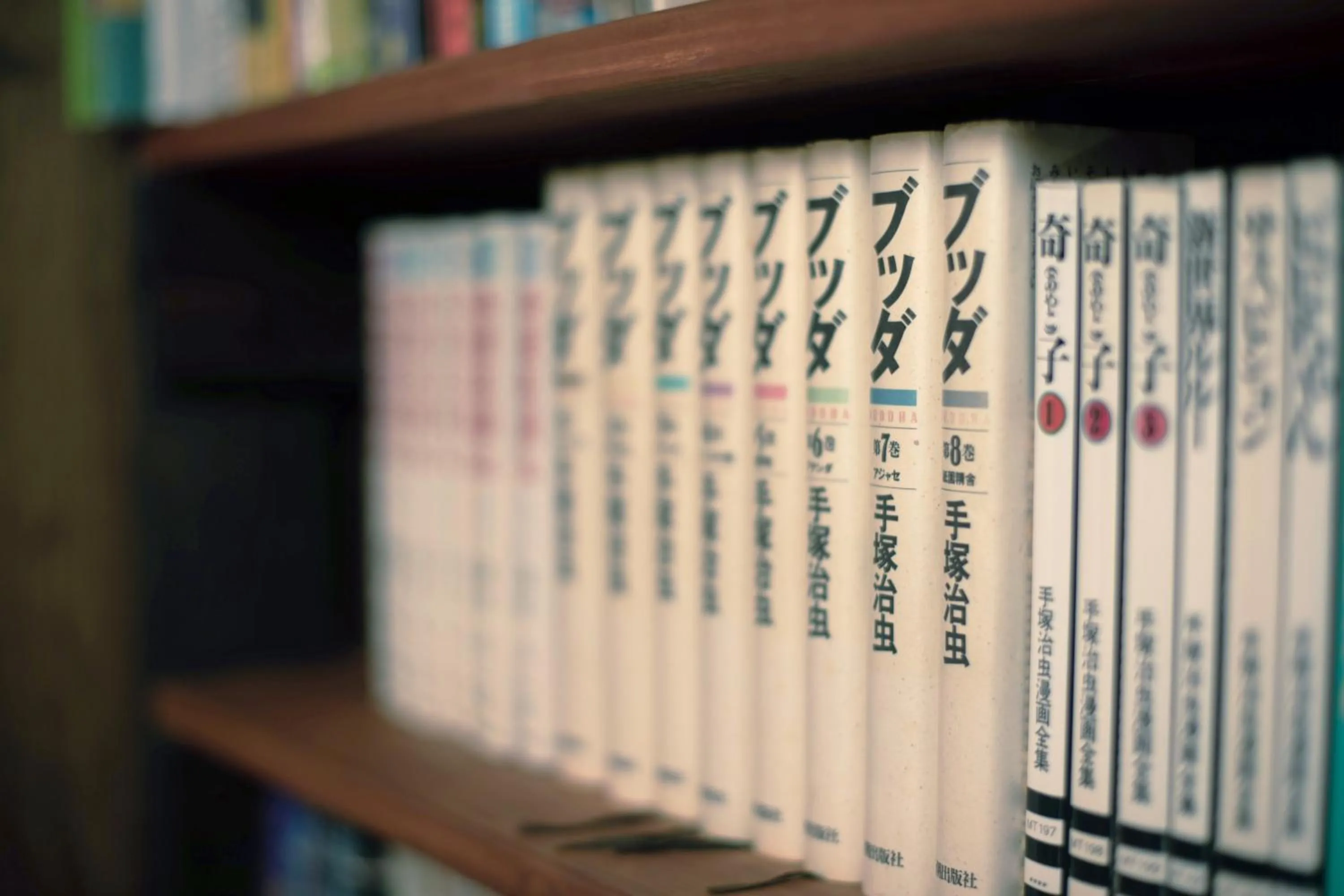 Library in Guesthouse Yululu