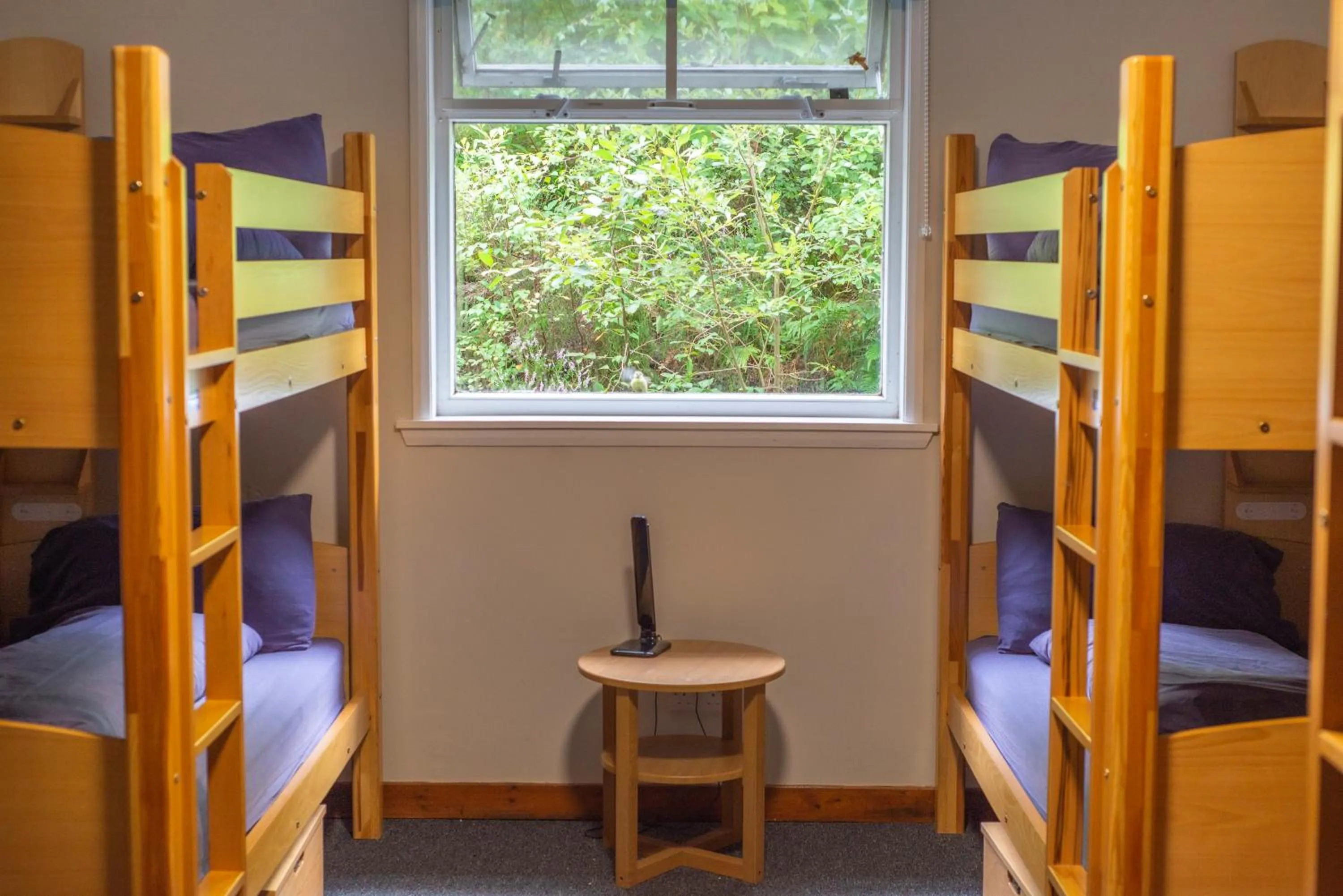 bunk bed, Bed in Crianlarich Youth Hostel