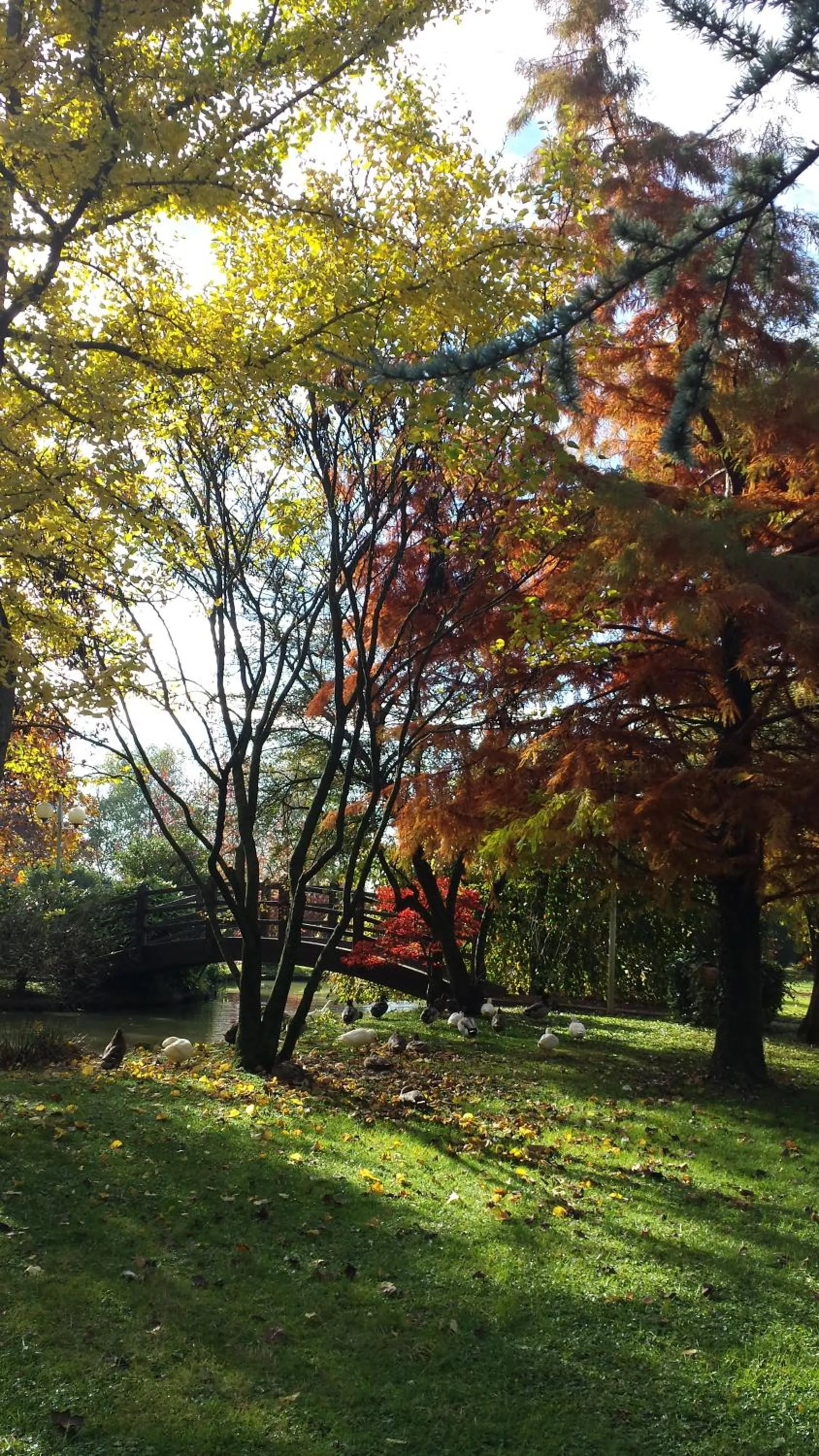 Day in Antica Postumia