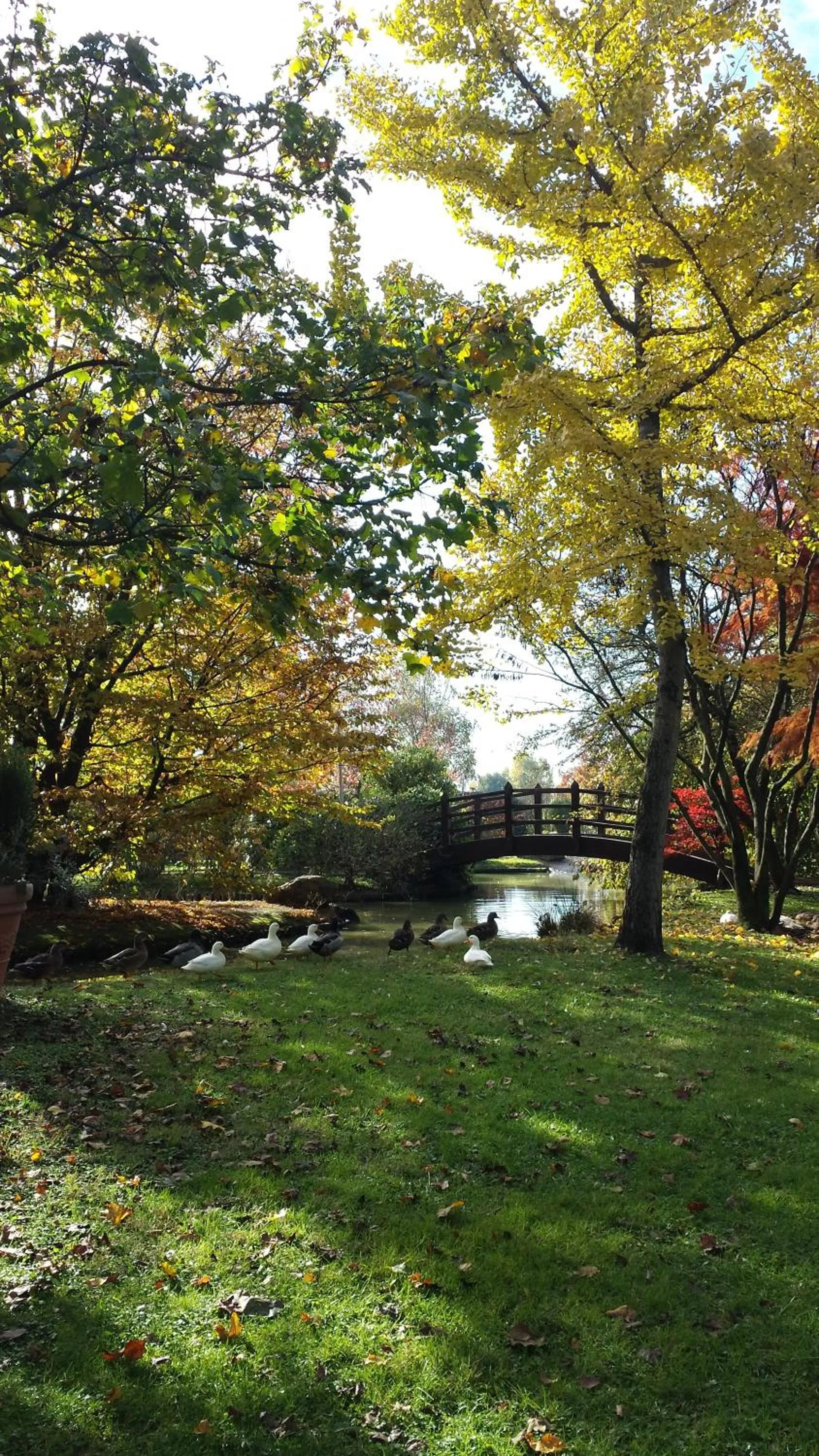 Day in Antica Postumia