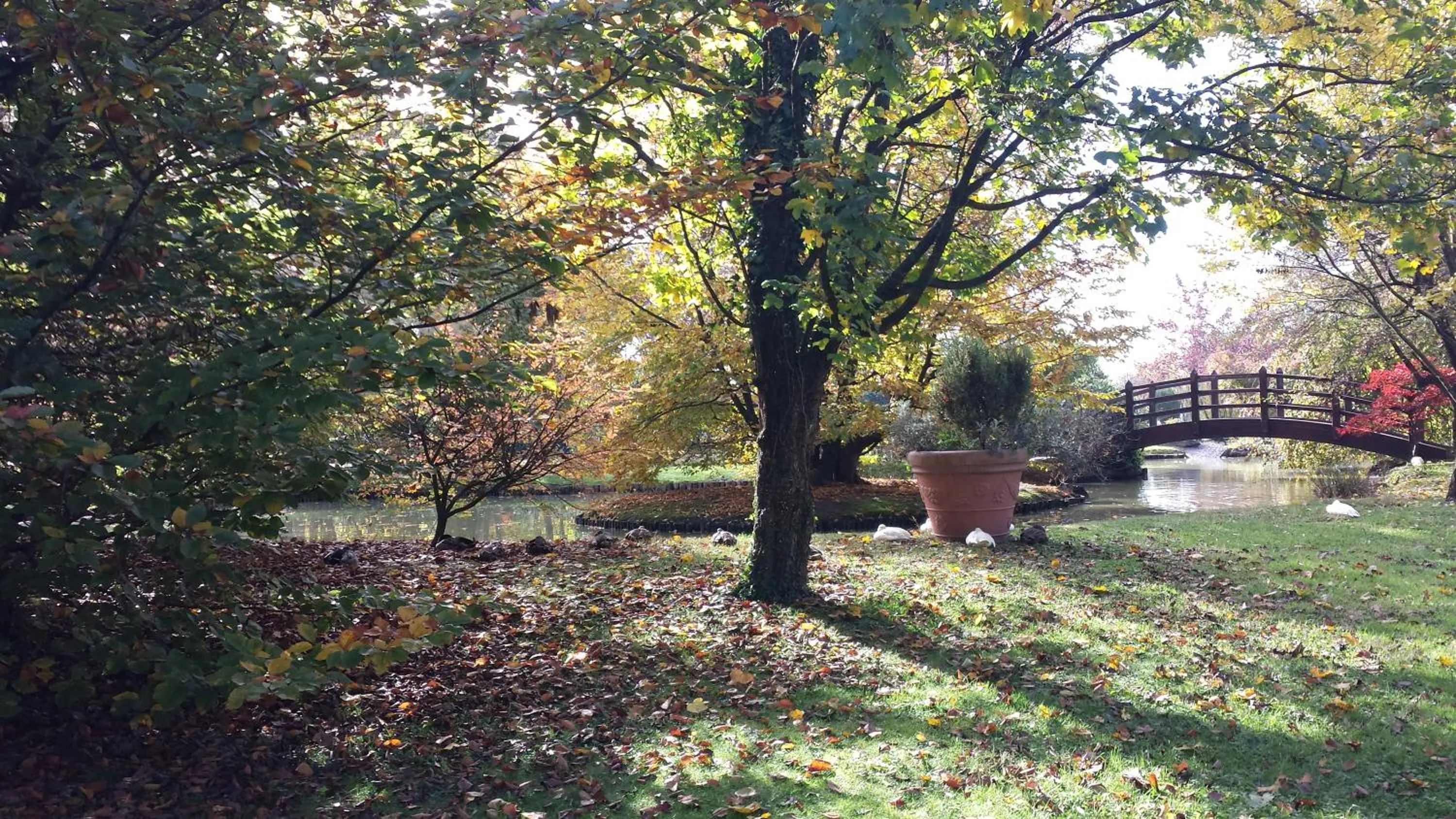 Day in Antica Postumia