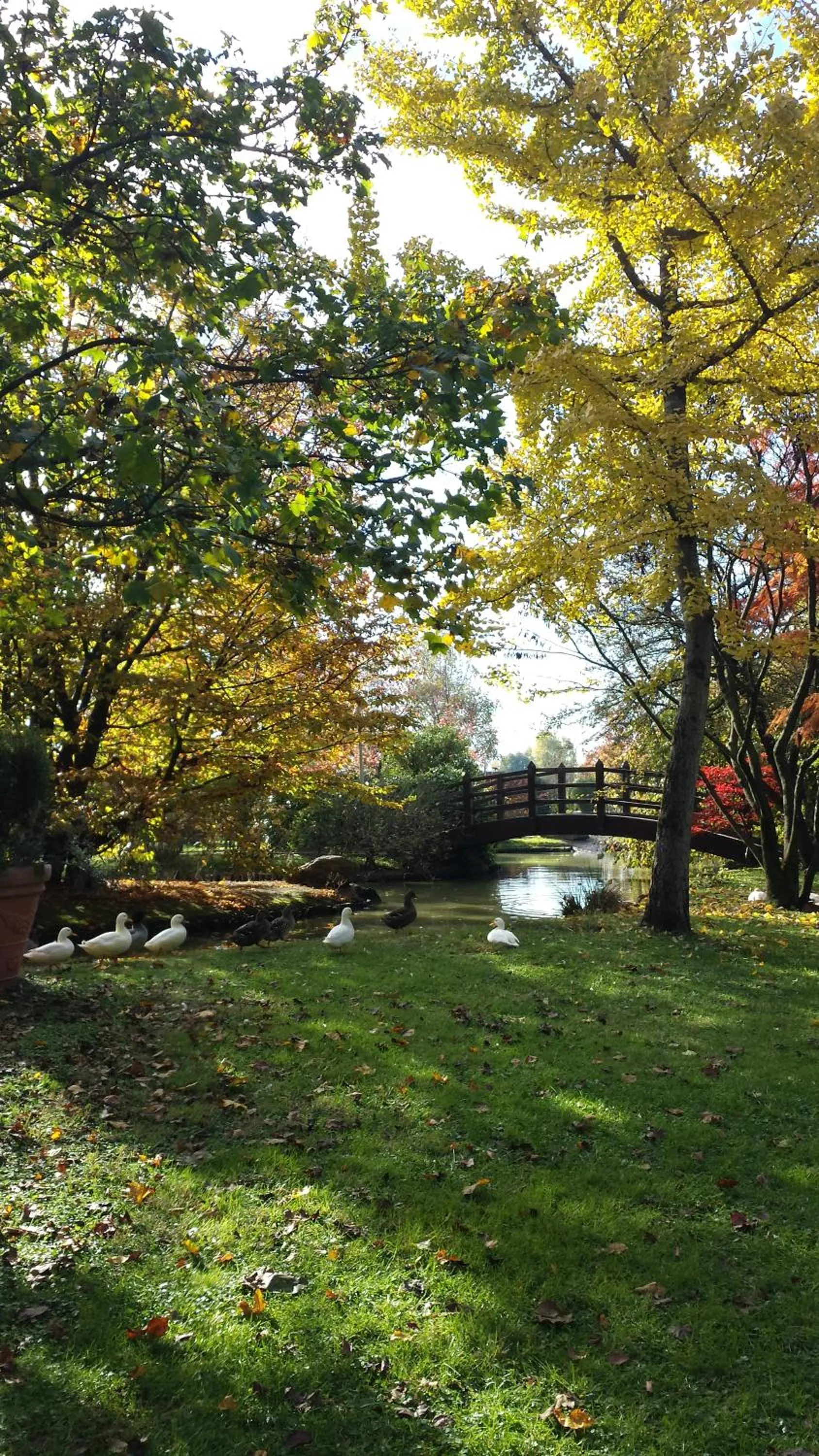 Day in Antica Postumia