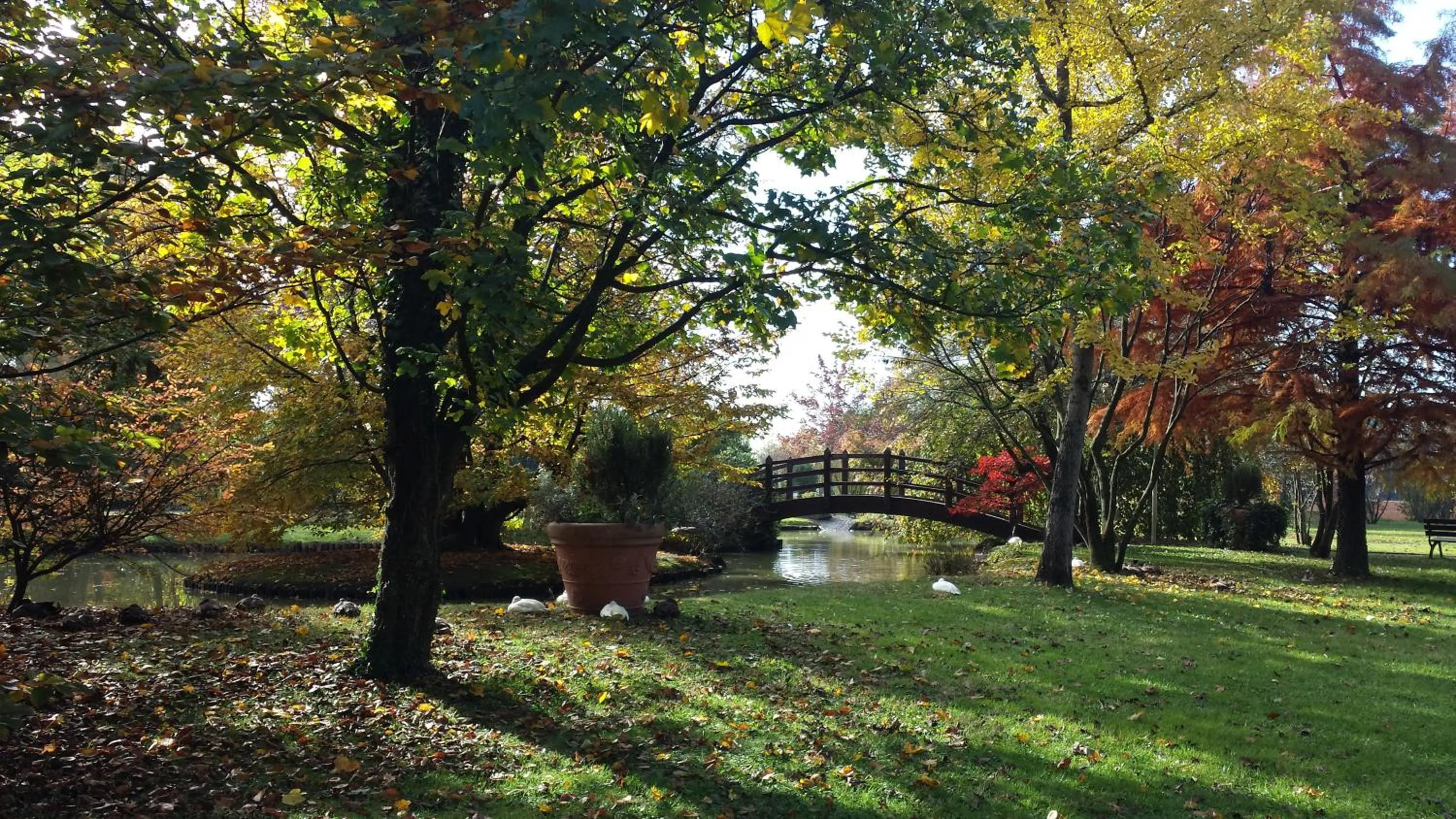 Day in Antica Postumia