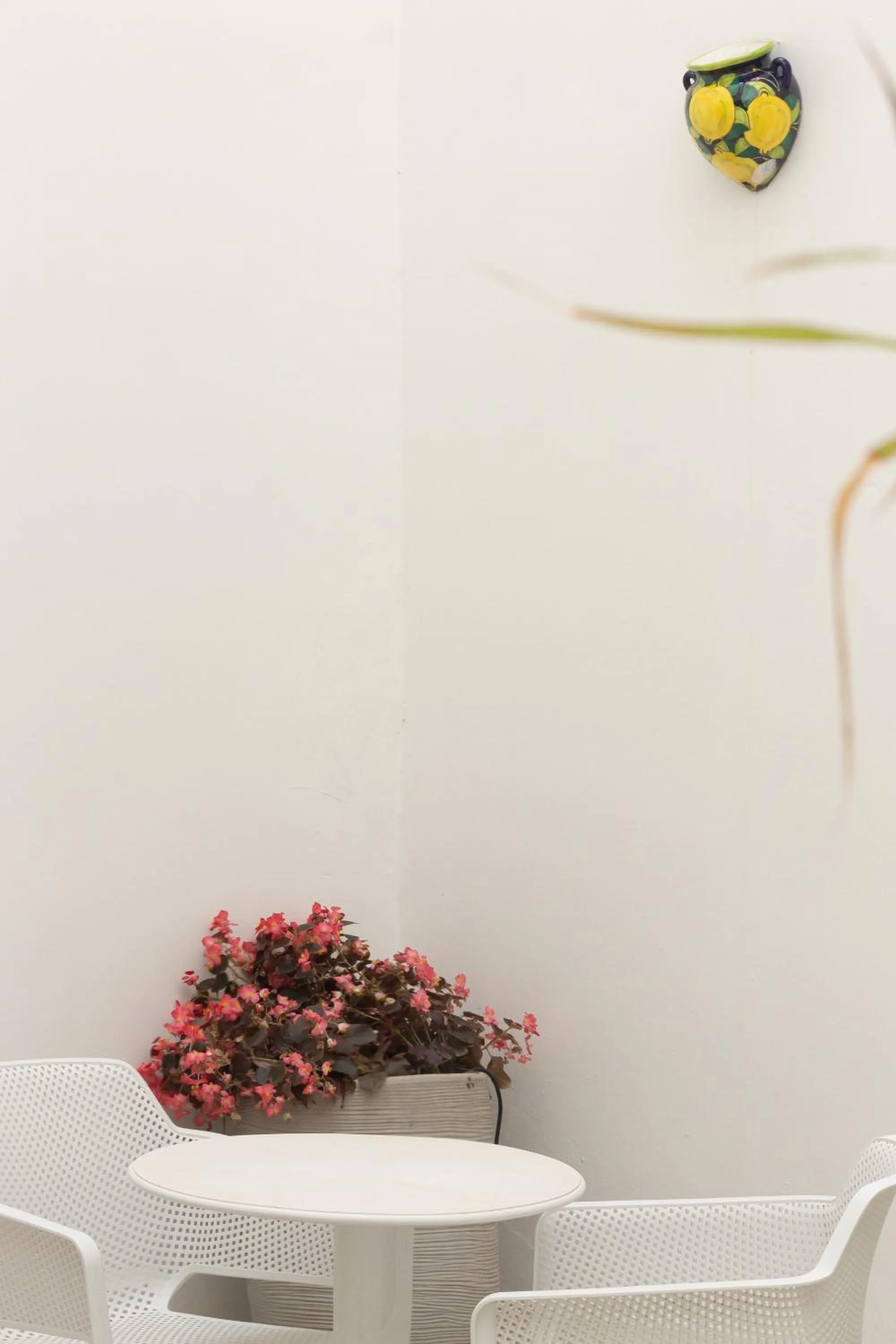 A casa di Nonna Rosa