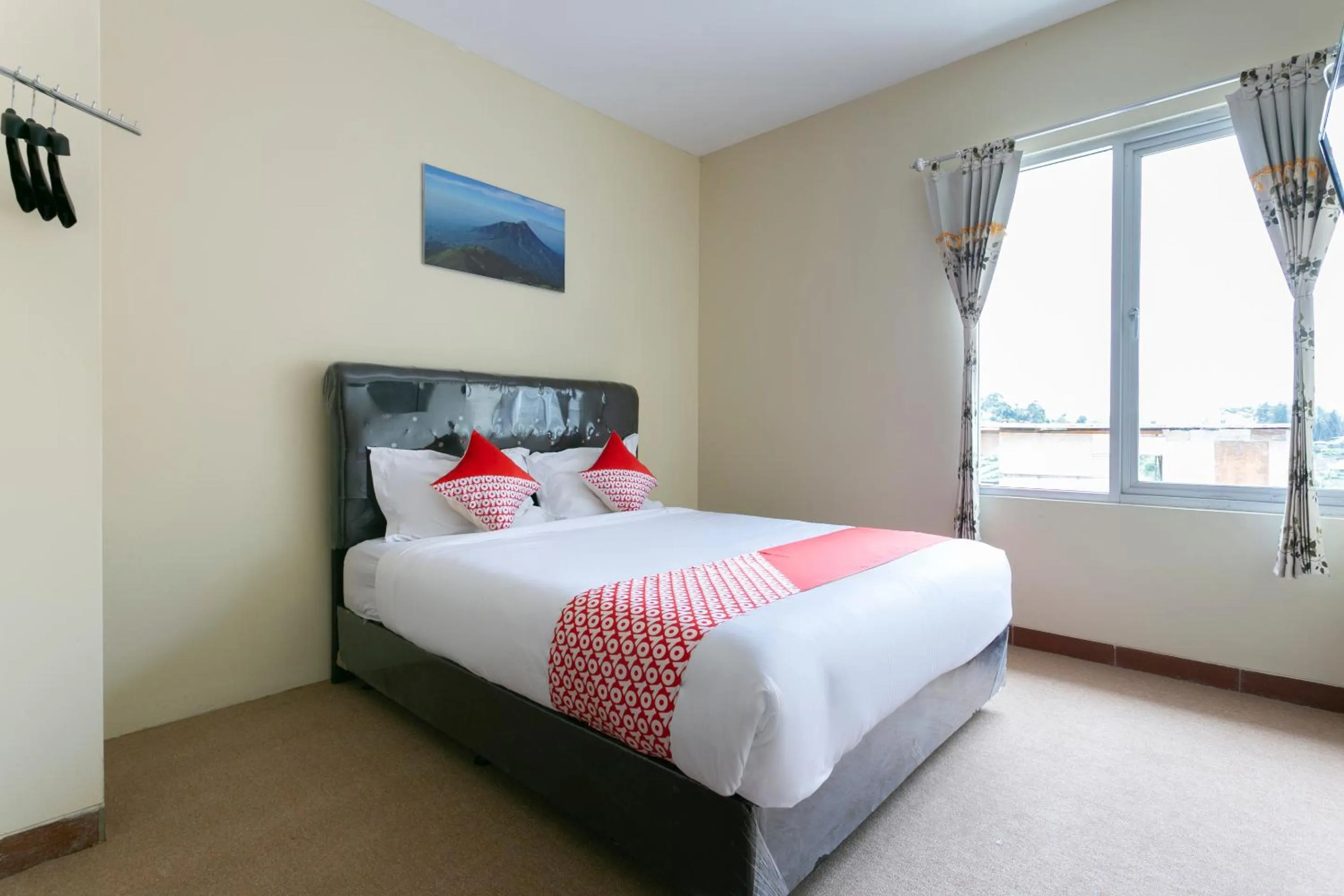 Collection O 3130 D'Valley View