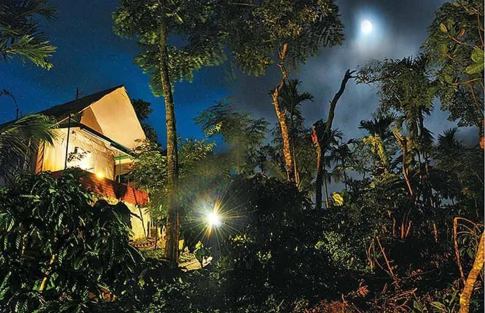 Night in Grassroots Wayanad, Valley-view Tents