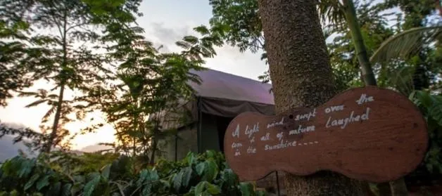 Natural landscape in Grassroots Wayanad, Valley-view Tents