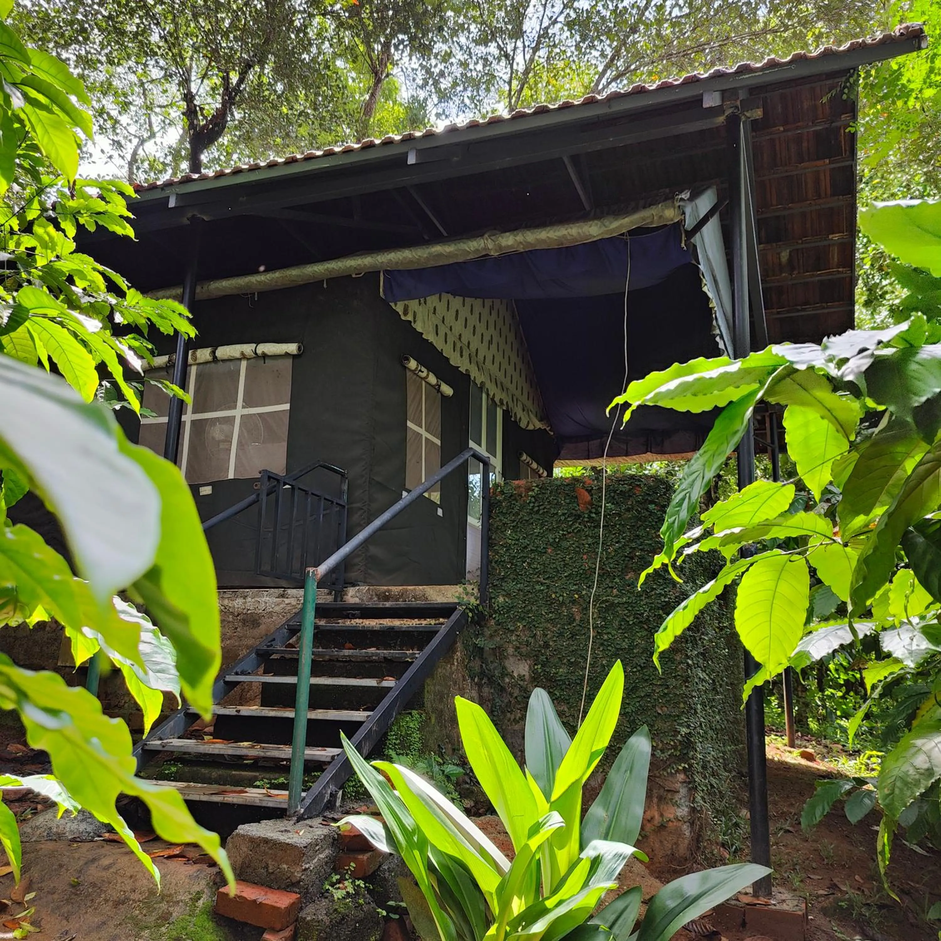 Property building in Grassroots Wayanad, Valley-view Tents