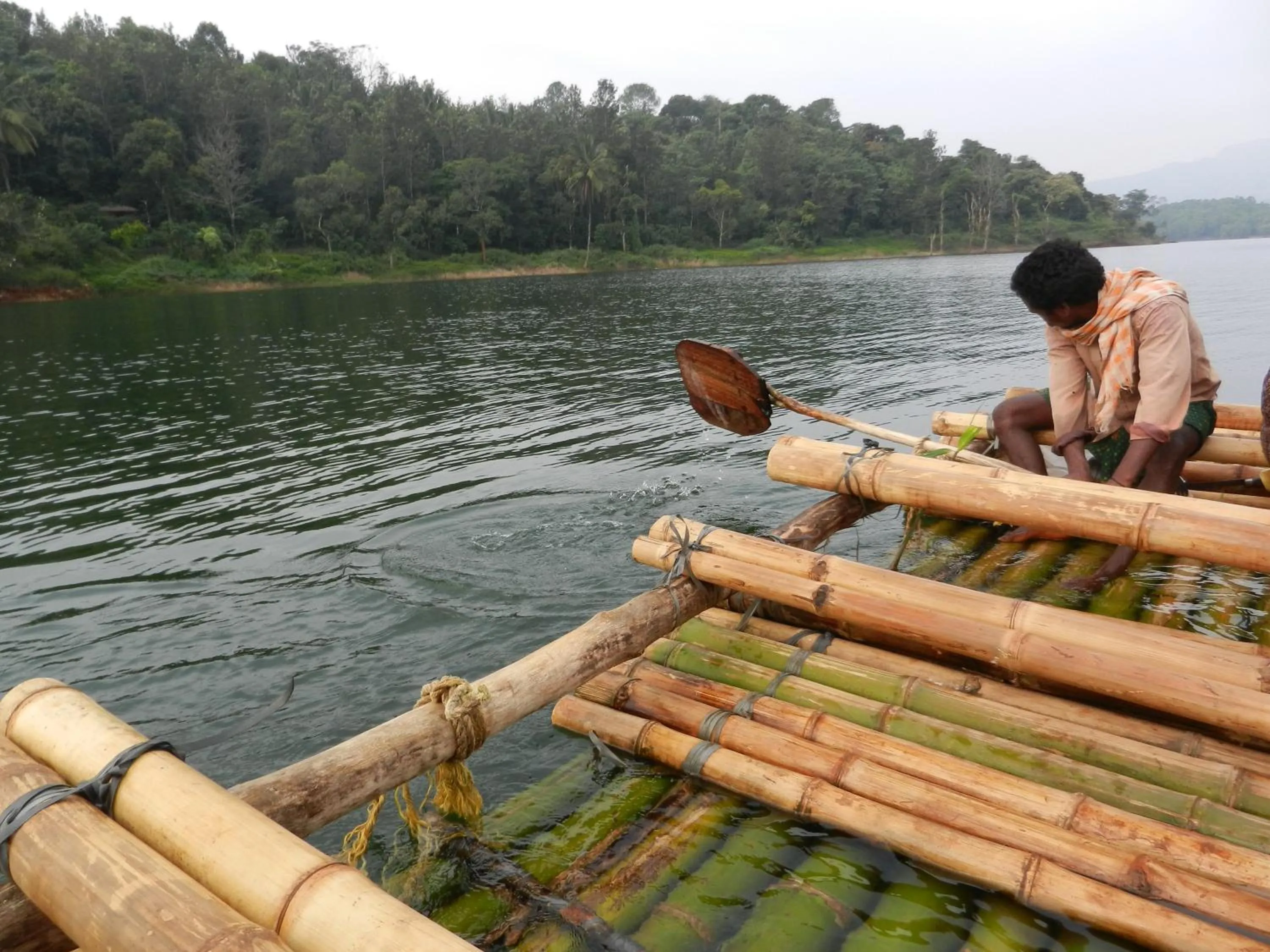 Lake view in Grassroots Wayanad, Valley-view Tents