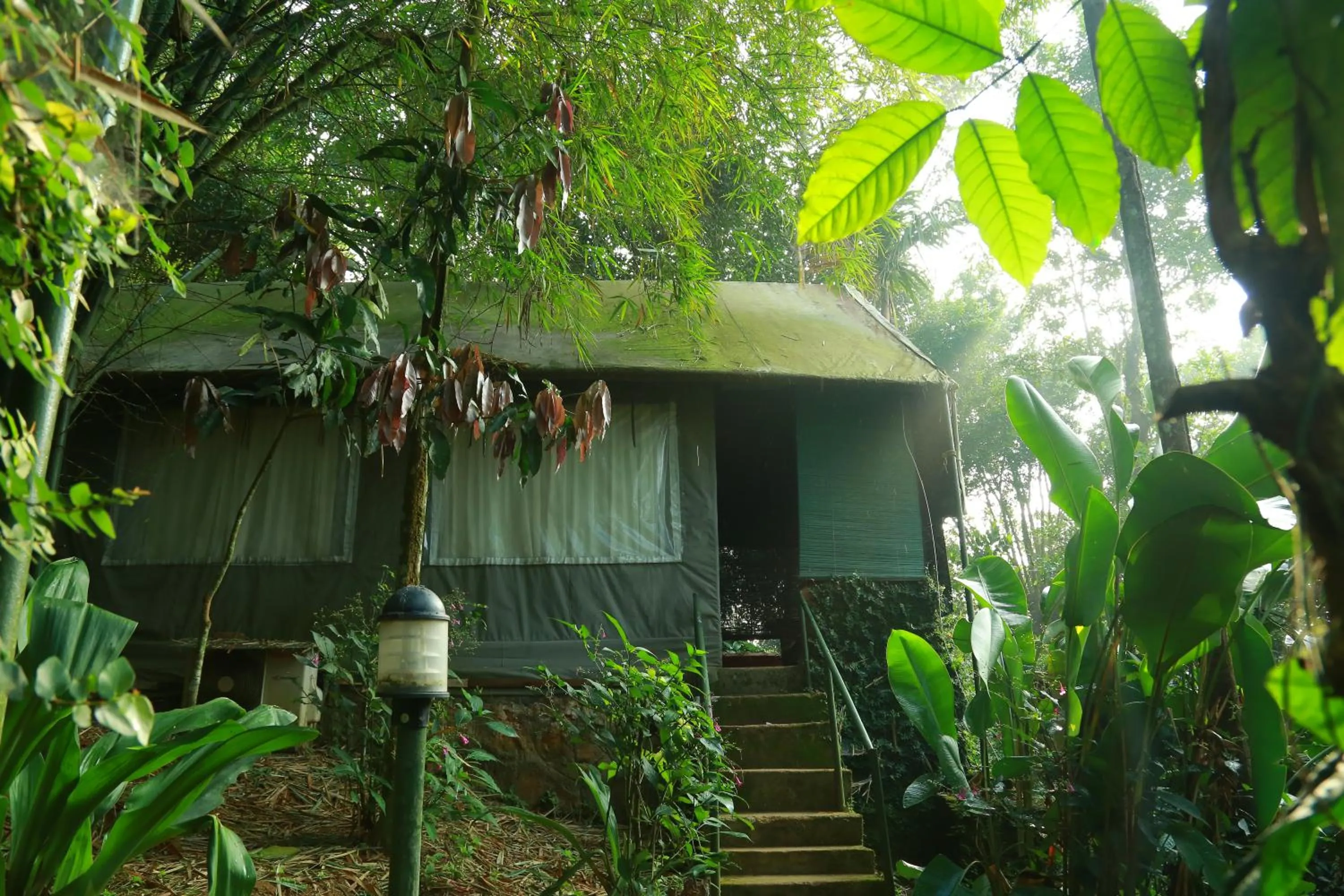 Bedroom in Grassroots Wayanad, Valley-view Tents