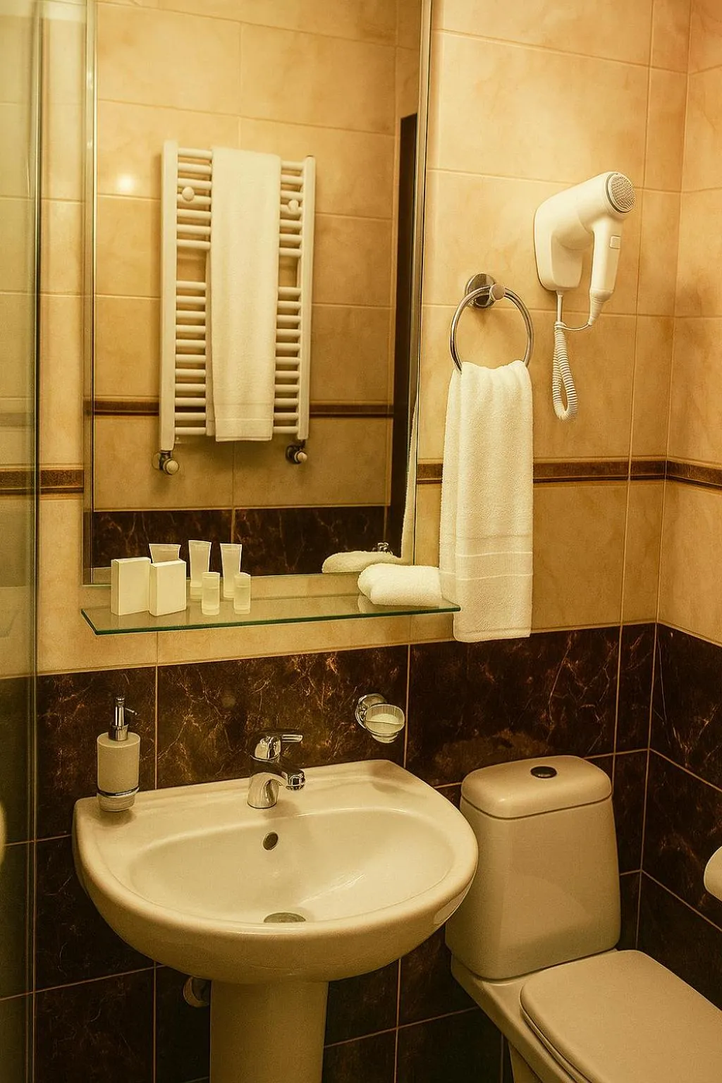 Toilet in Rustaveli Palace