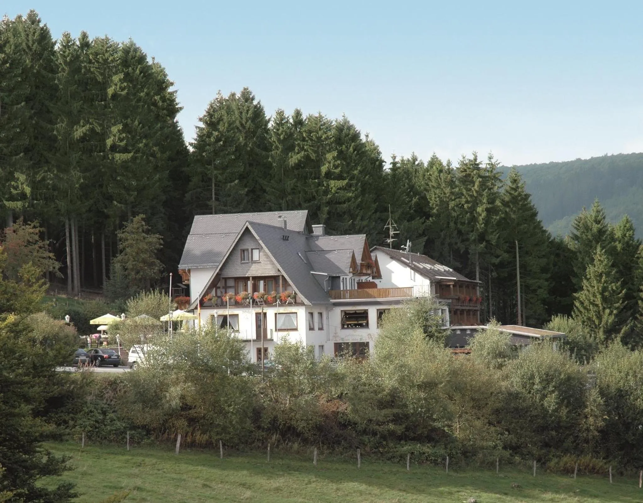 Natural landscape in Wald Hotel Willingen