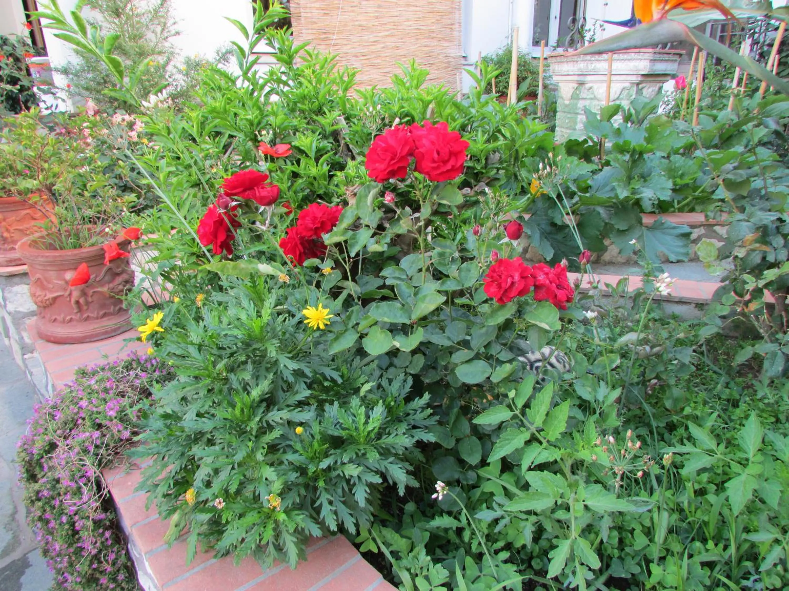 Garden in Casa Palazzo a Mare