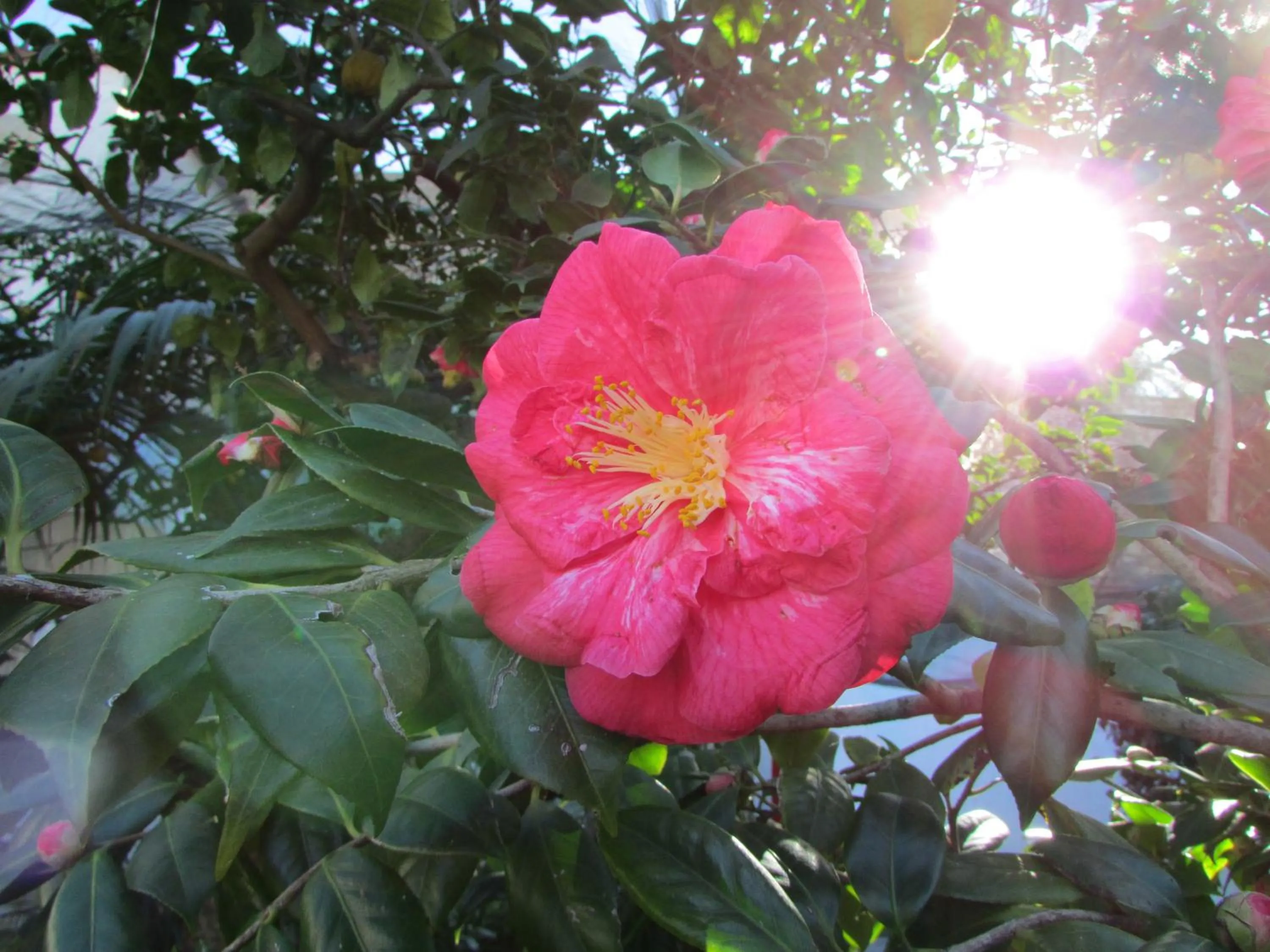 Garden in Casa Palazzo a Mare