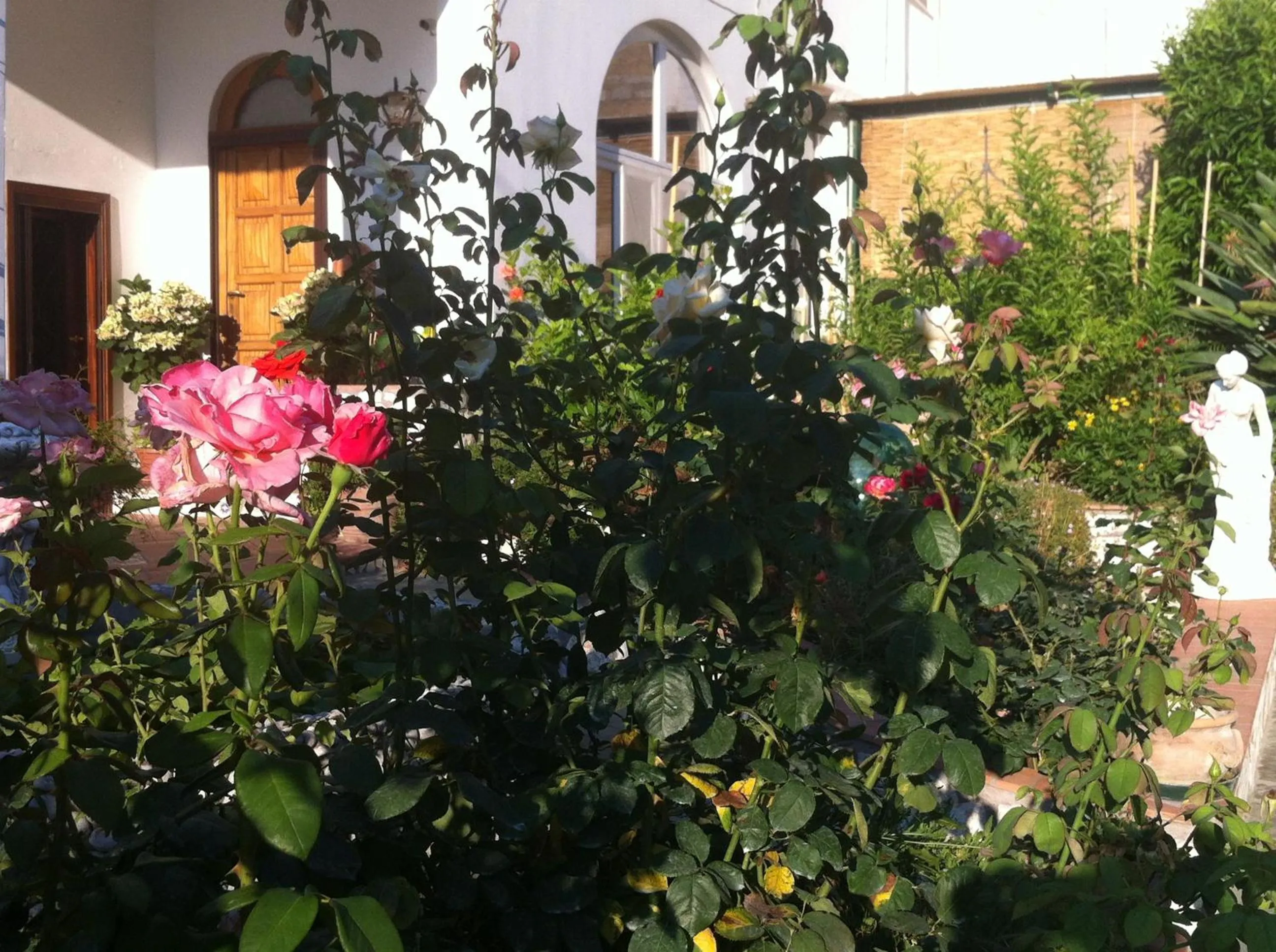Garden in Casa Palazzo a Mare