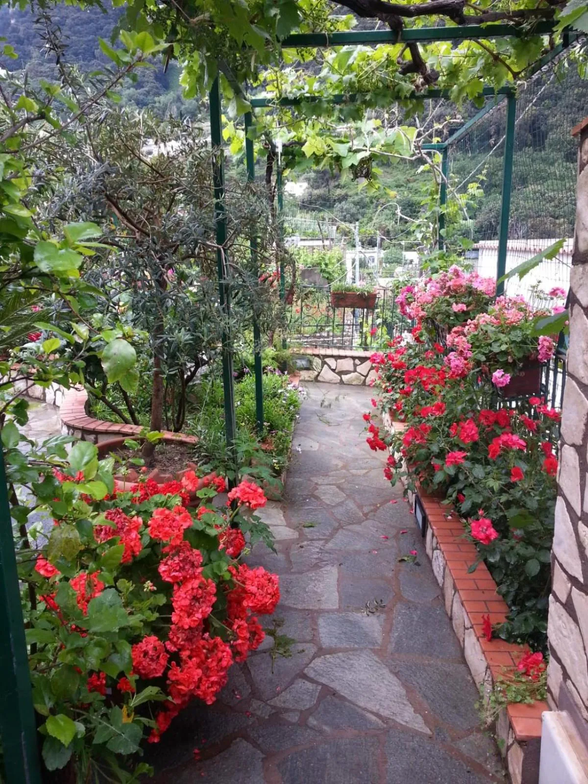 Garden view in Casa Palazzo a Mare
