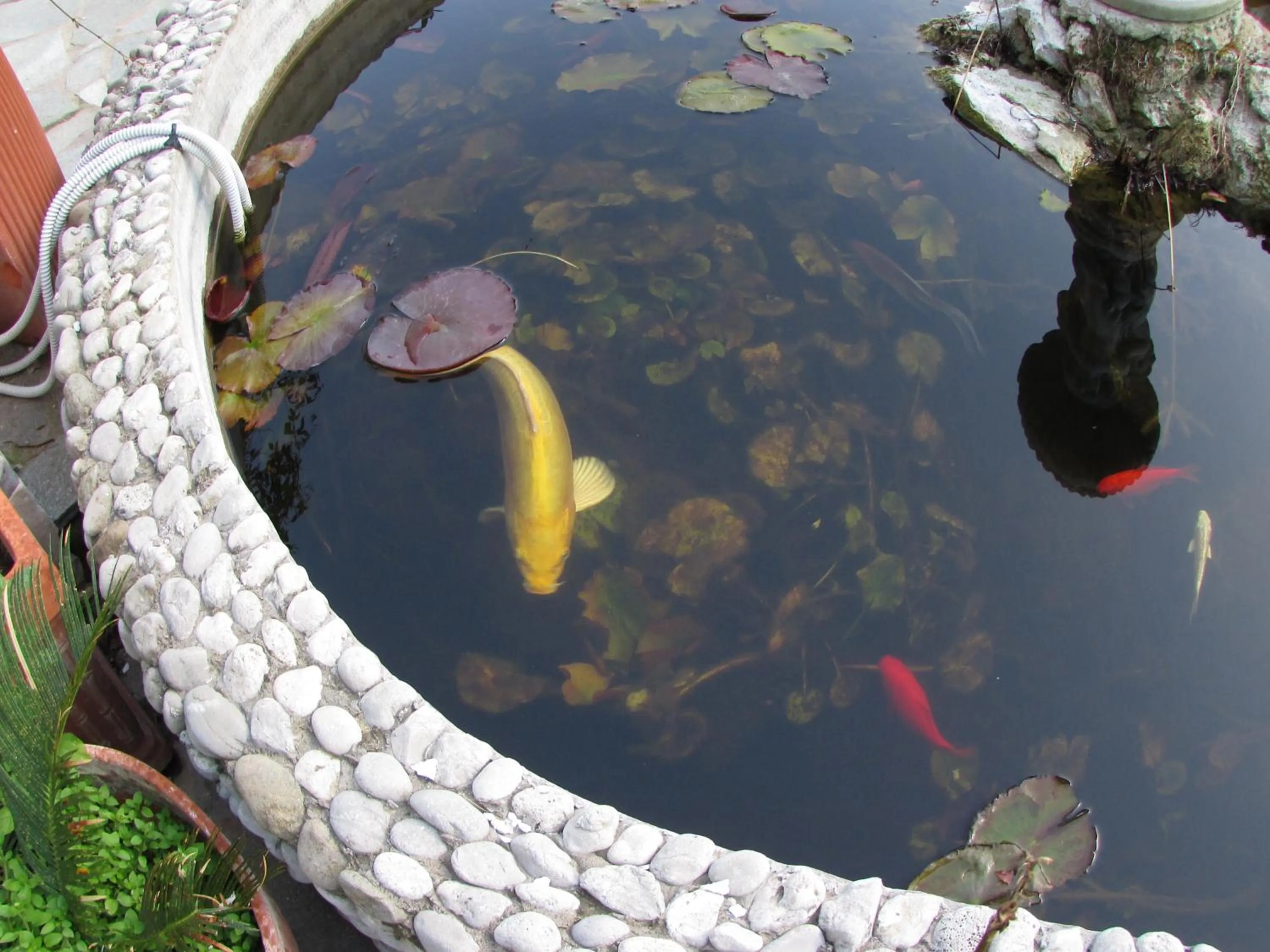 Facade/entrance in Casa Palazzo a Mare