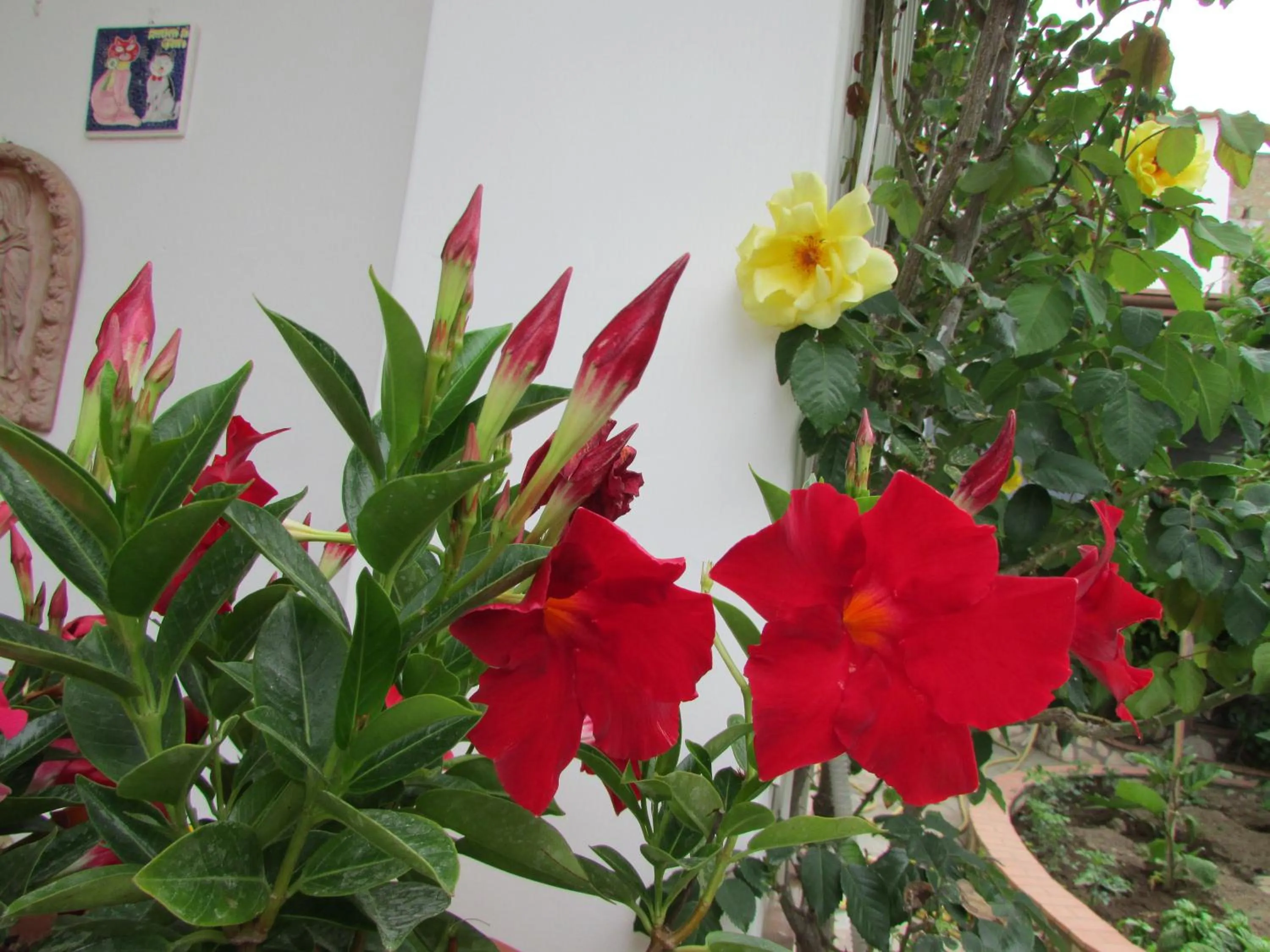Garden view in Casa Palazzo a Mare