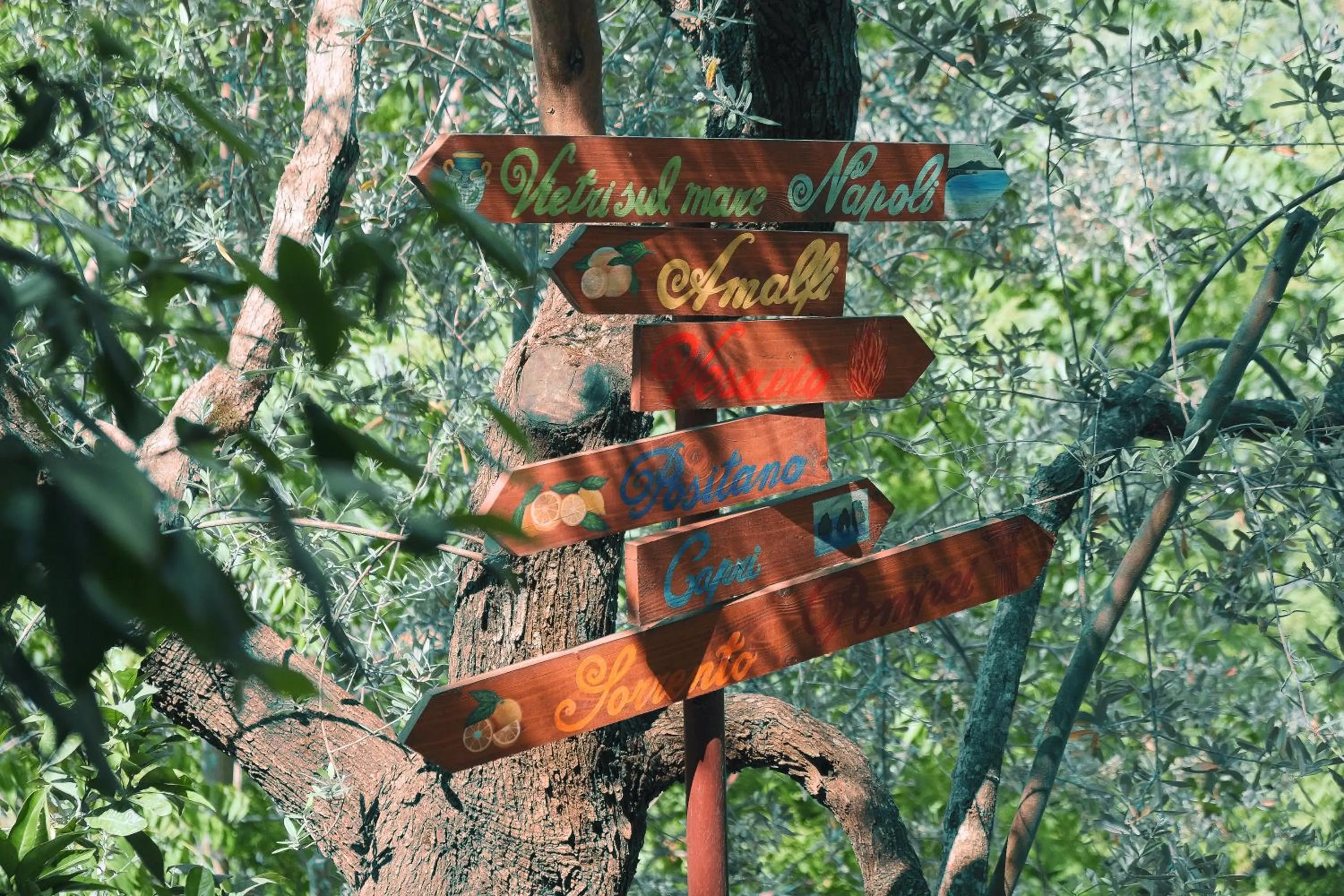 Garden in B&B Maria Grazia