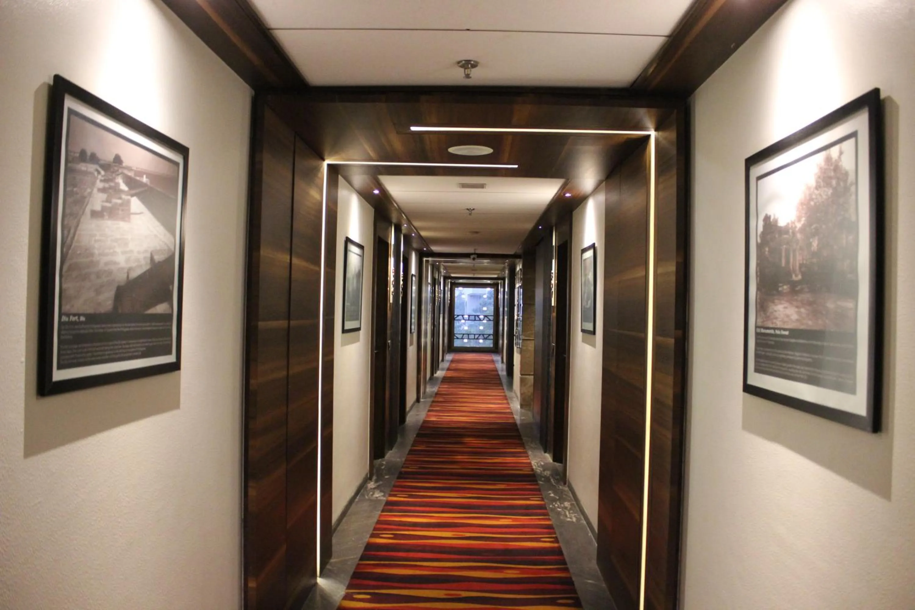 Balcony/Terrace in Hotel Cosmopolitan