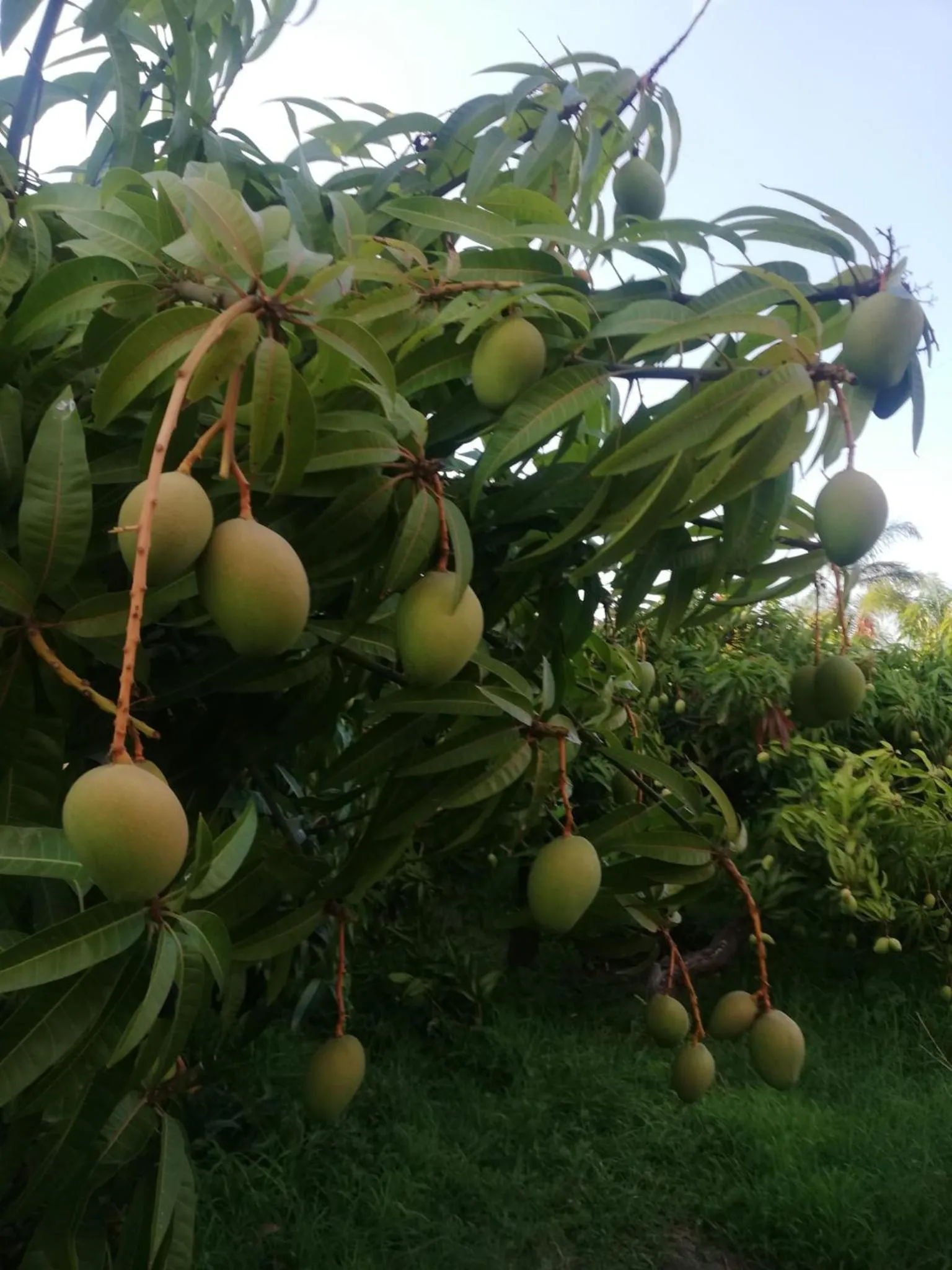 Turismo Rurale Al Benefizio