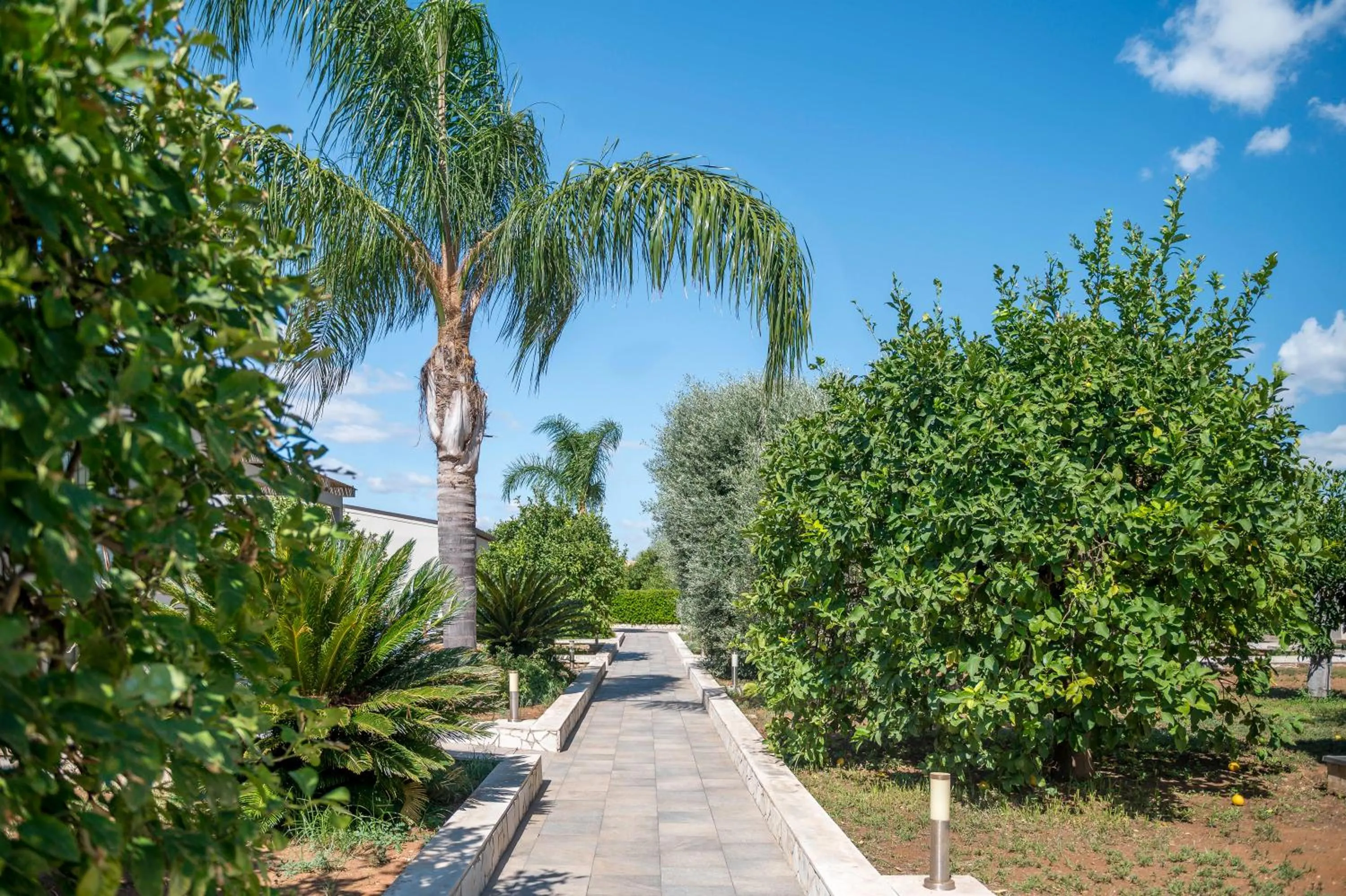 Garden in Terra Dei Limoni