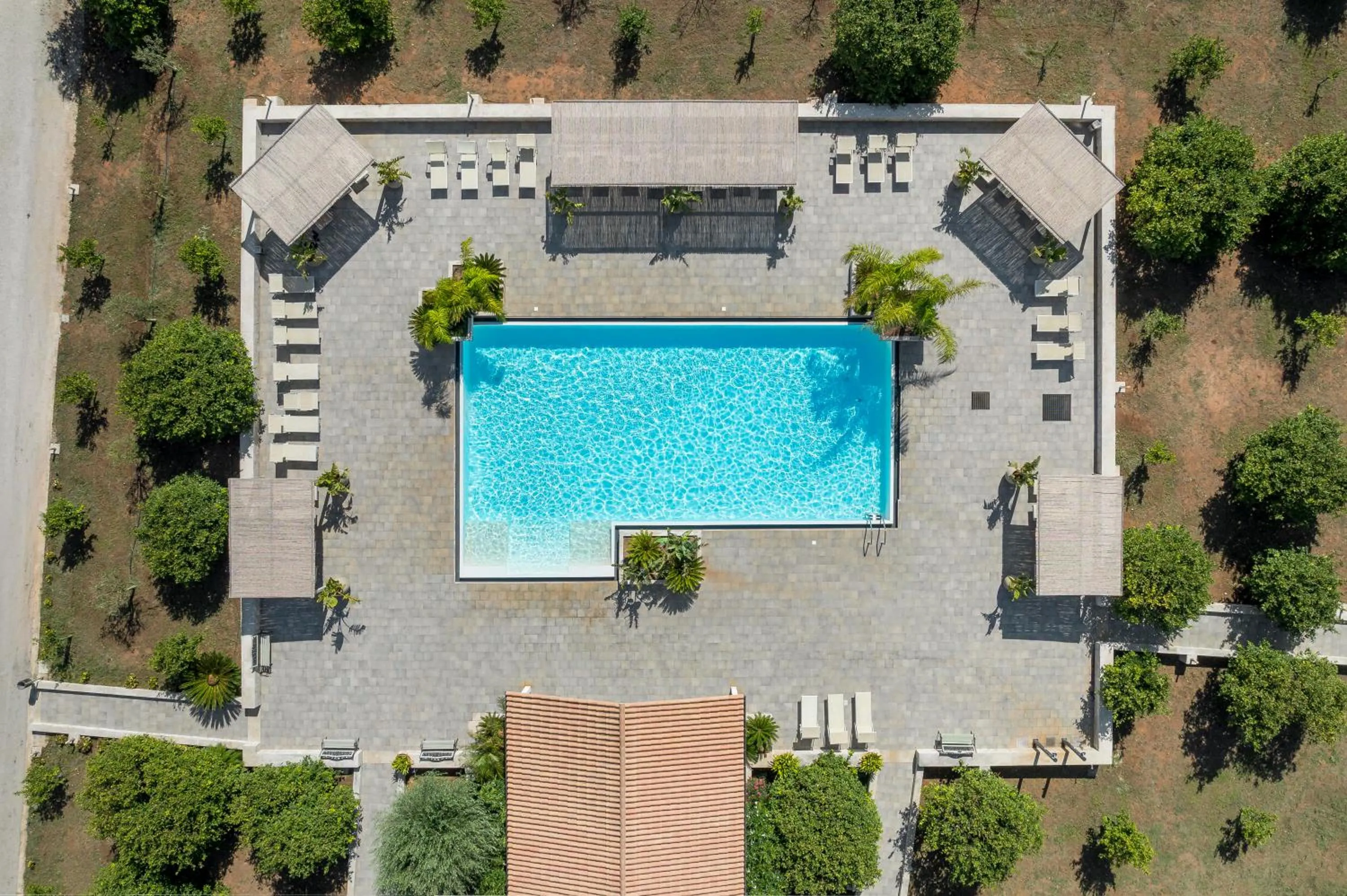 Swimming pool in Terra Dei Limoni