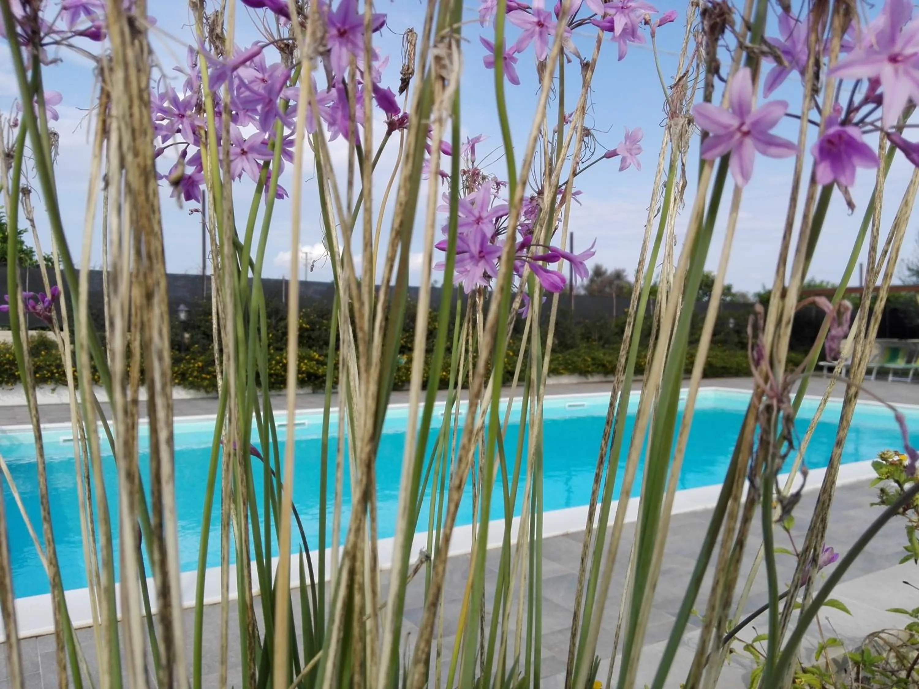 Day in Terra Dei Limoni