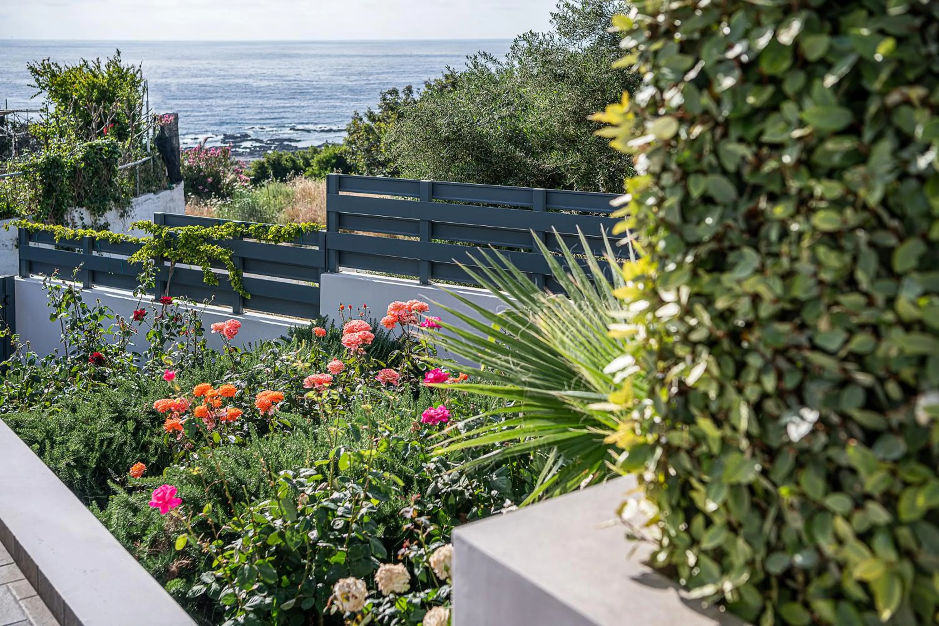 Garden in Sunset Elafonisi Apartments