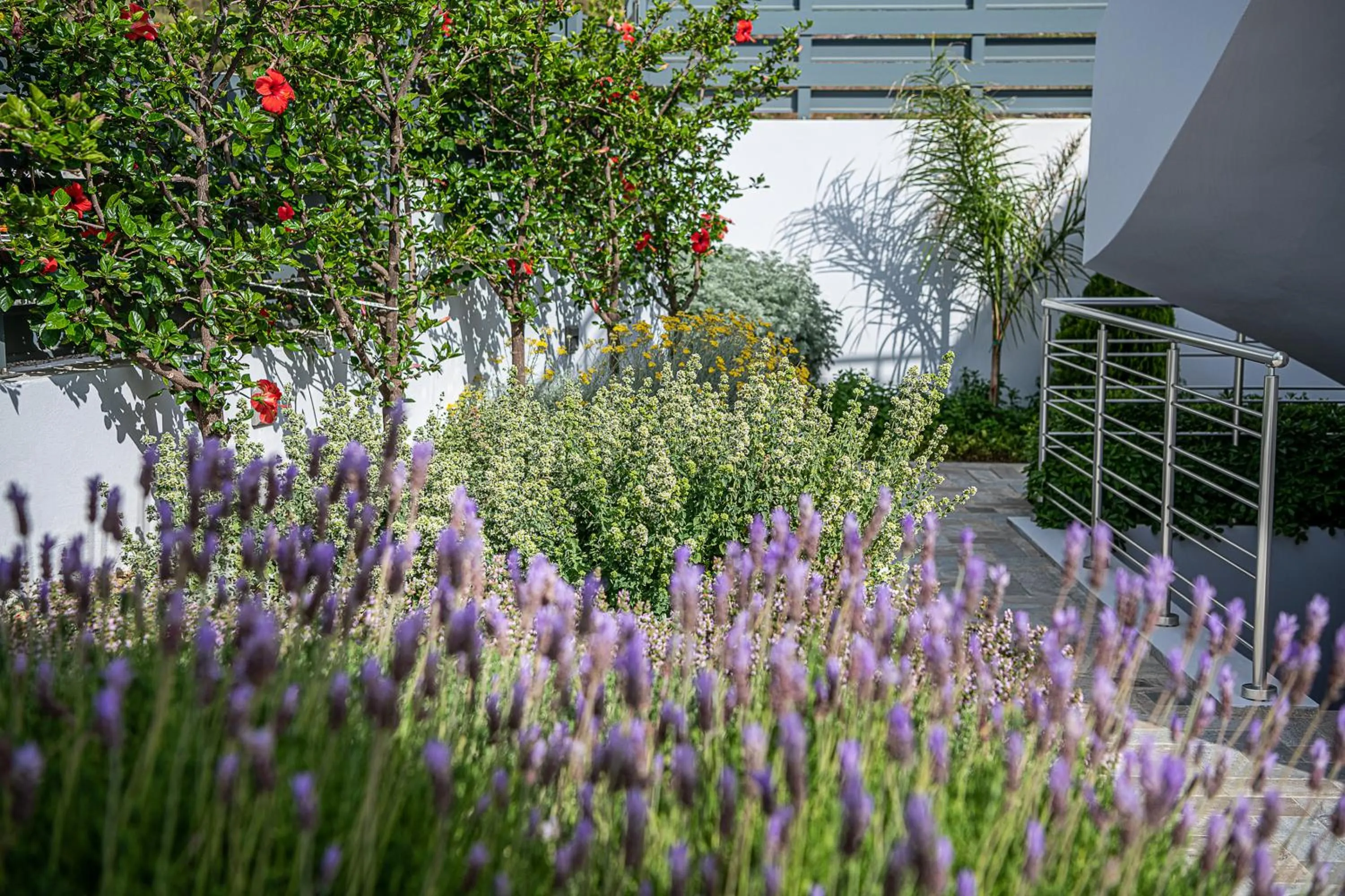 Garden in Sunset Elafonisi Apartments