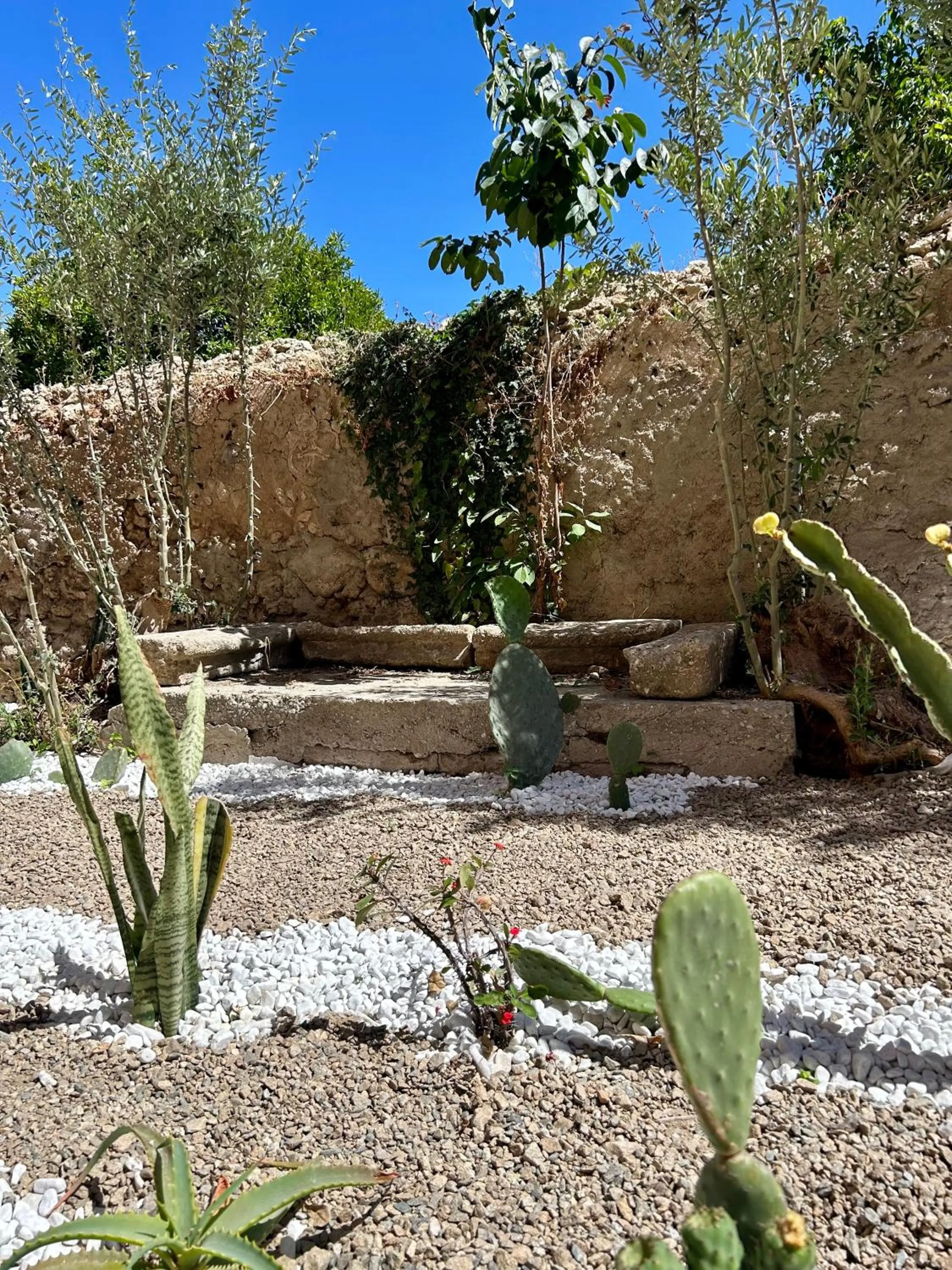 Garden view in Arcobaleno Tropea centro