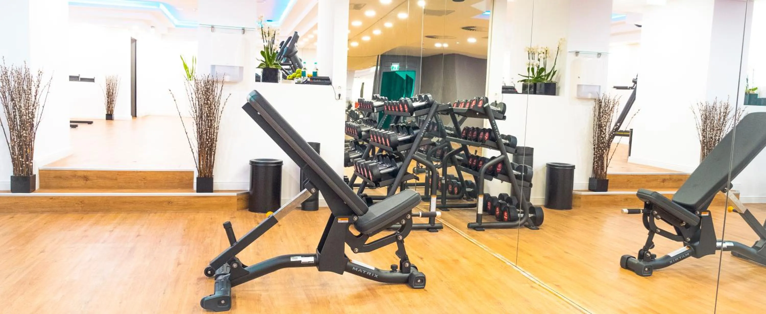 Fitness centre/facilities in Steigenberger Hotel Köln