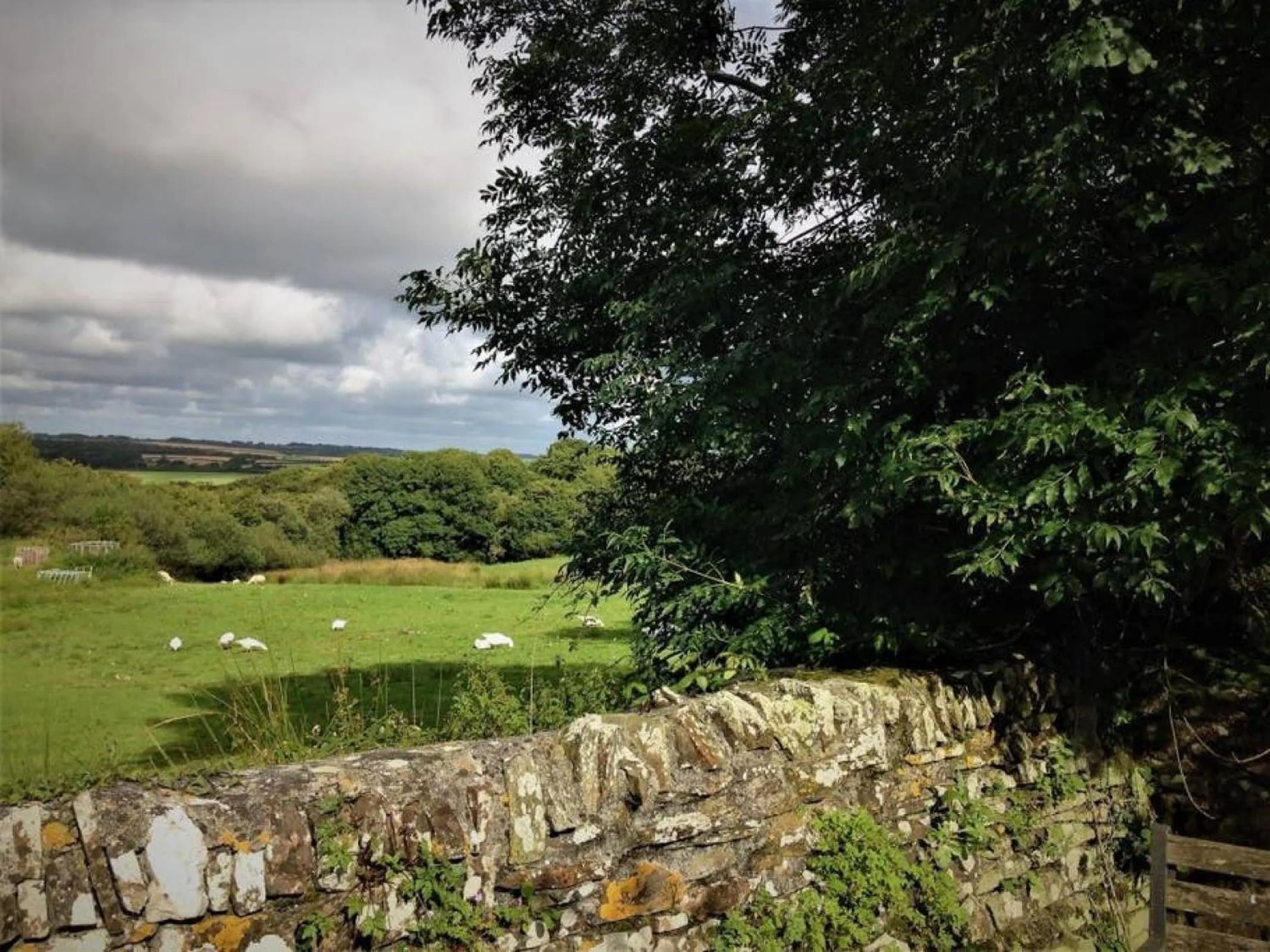 Garden in Cottage Barn, Jacobstow