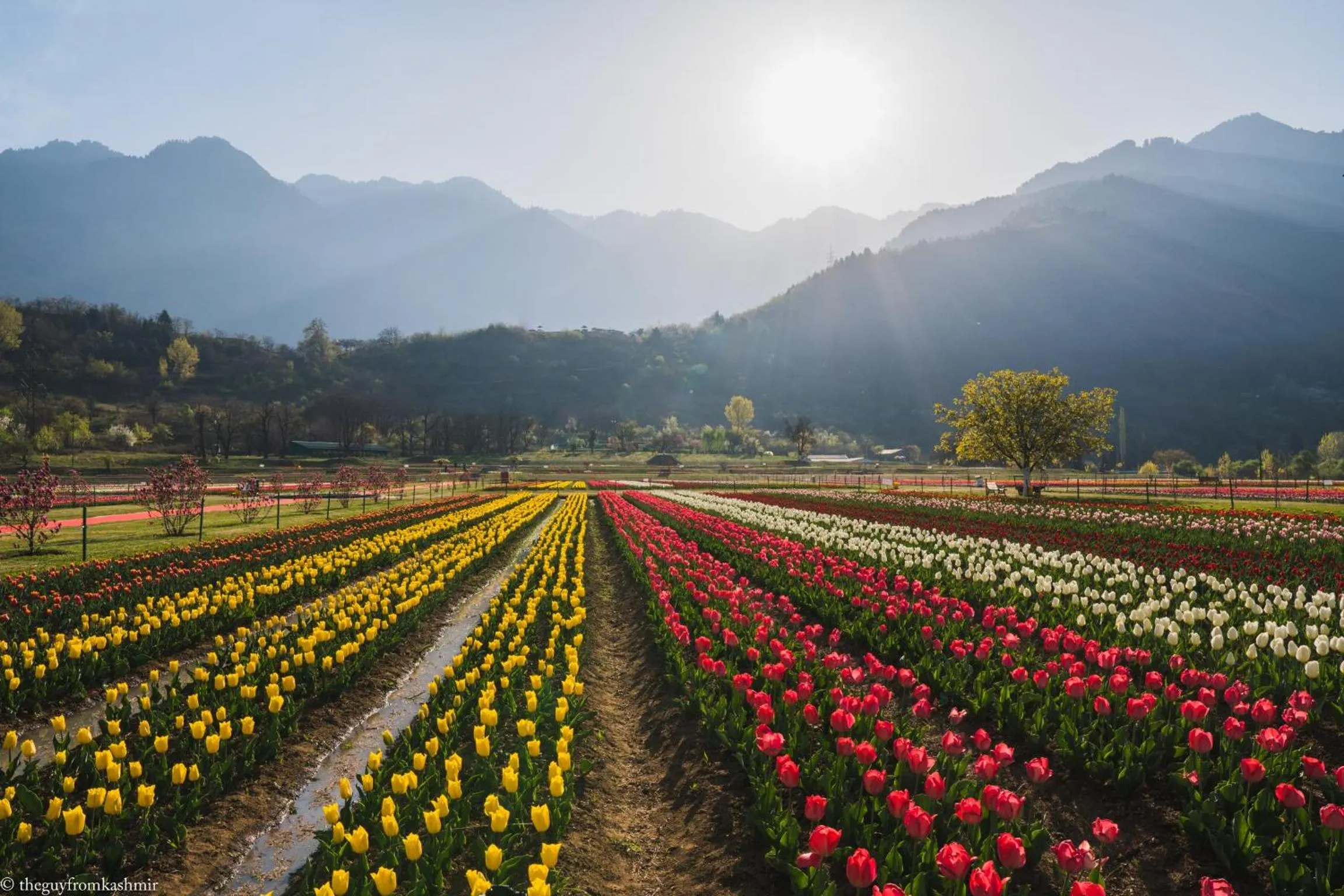 Natural landscape in WelcomHeritage Gurkha Houseboats