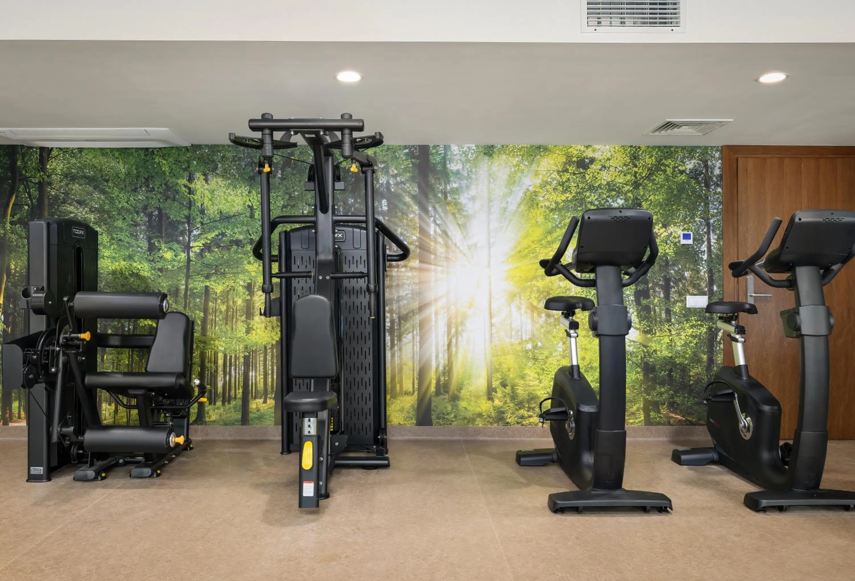 Fitness centre/facilities in Juvena Hotel Wellness & SPA Adults Only 12 plus