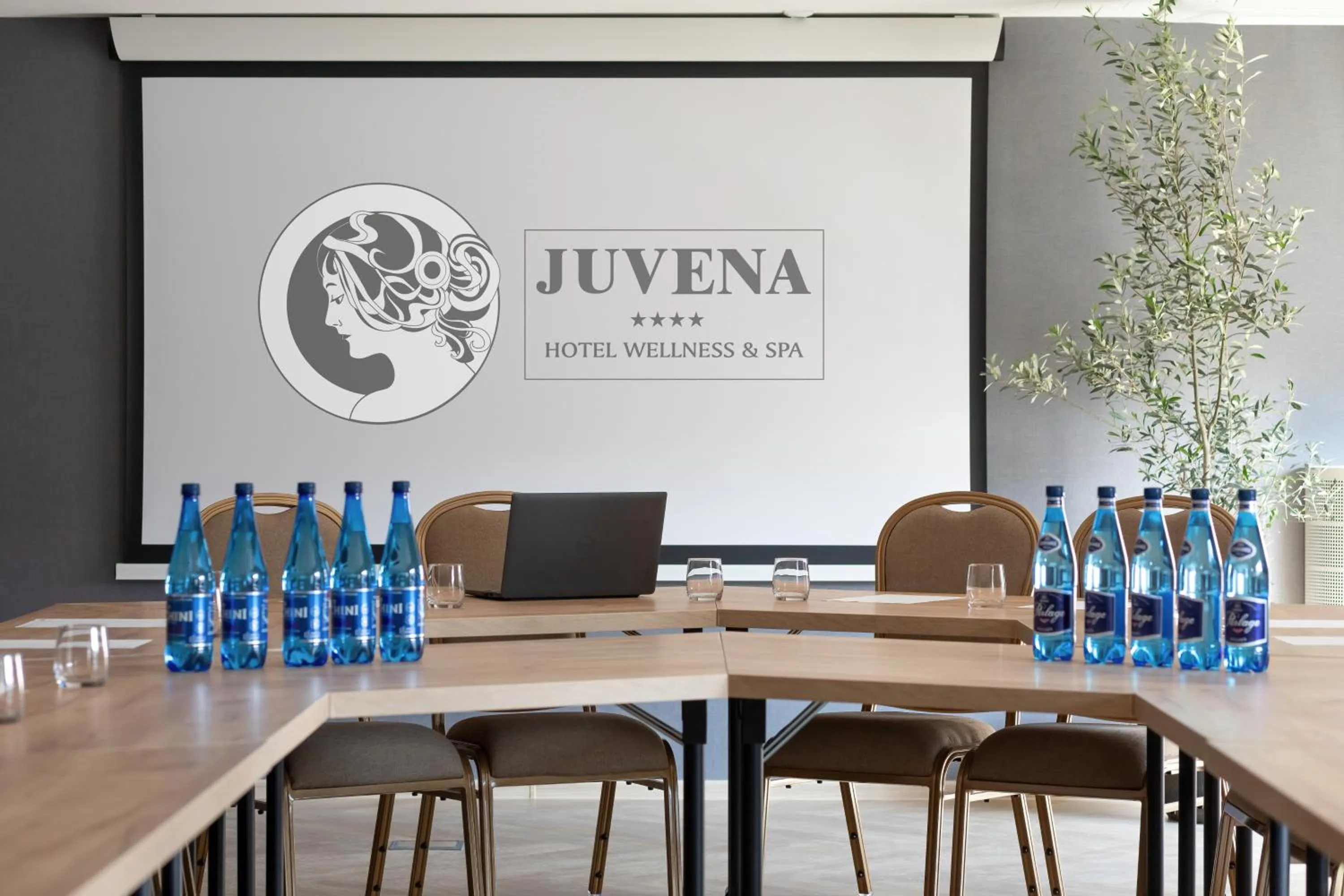 Meeting/conference room in Juvena Hotel Wellness & SPA Adults Only 12 plus