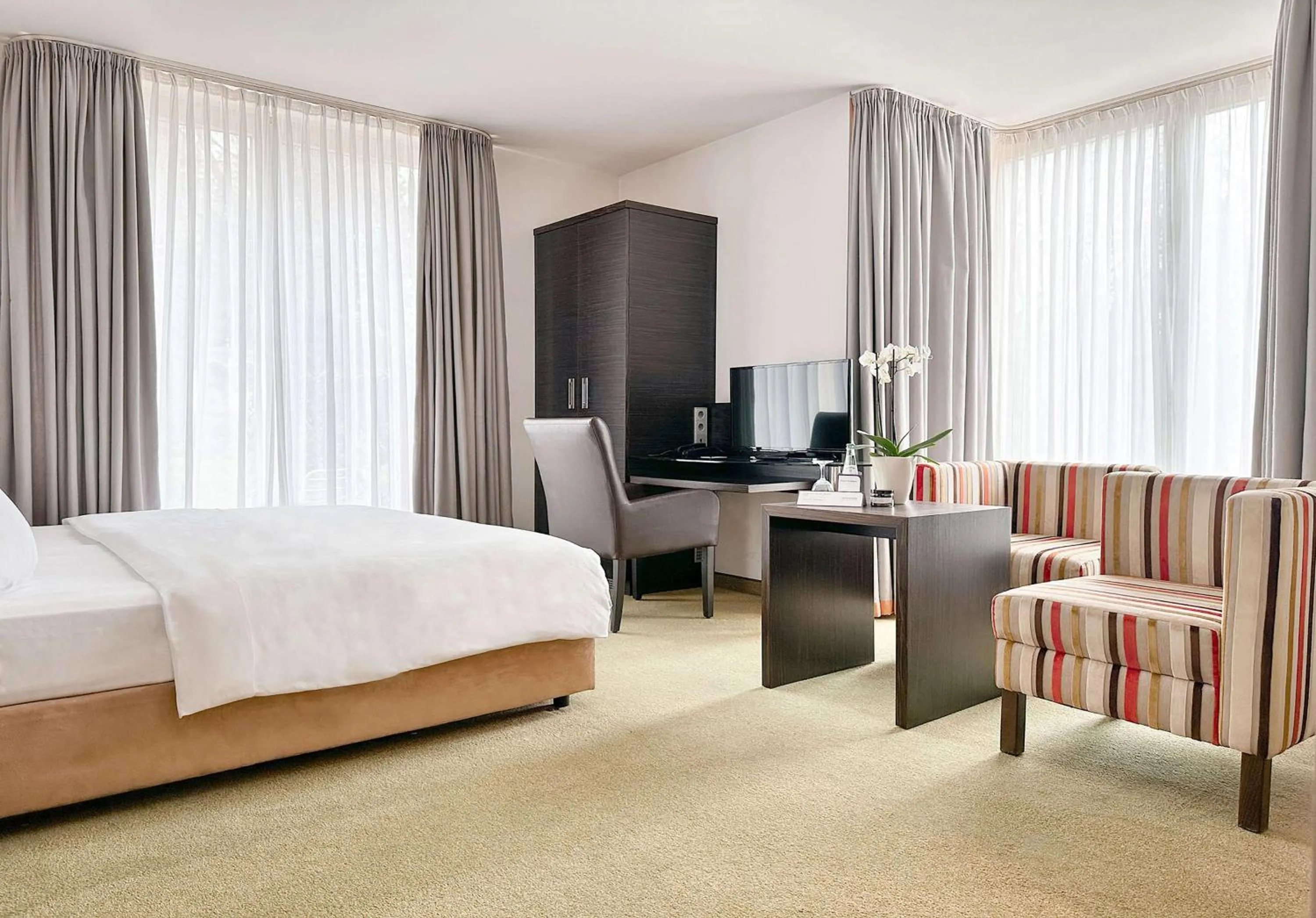 Standard Room - Annex Building in Radisson Blu Park Hotel & Conference Centre